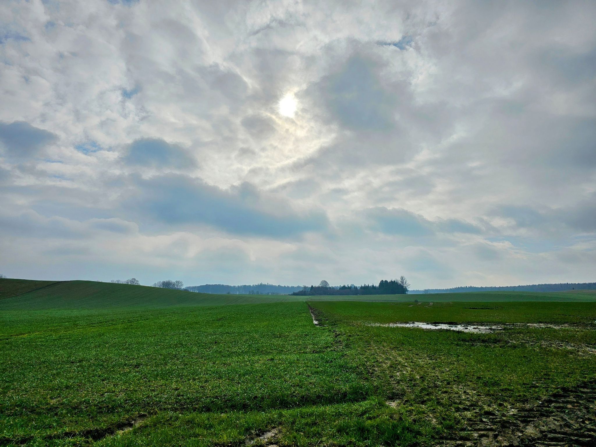 Blick Richtung Nägenbarg