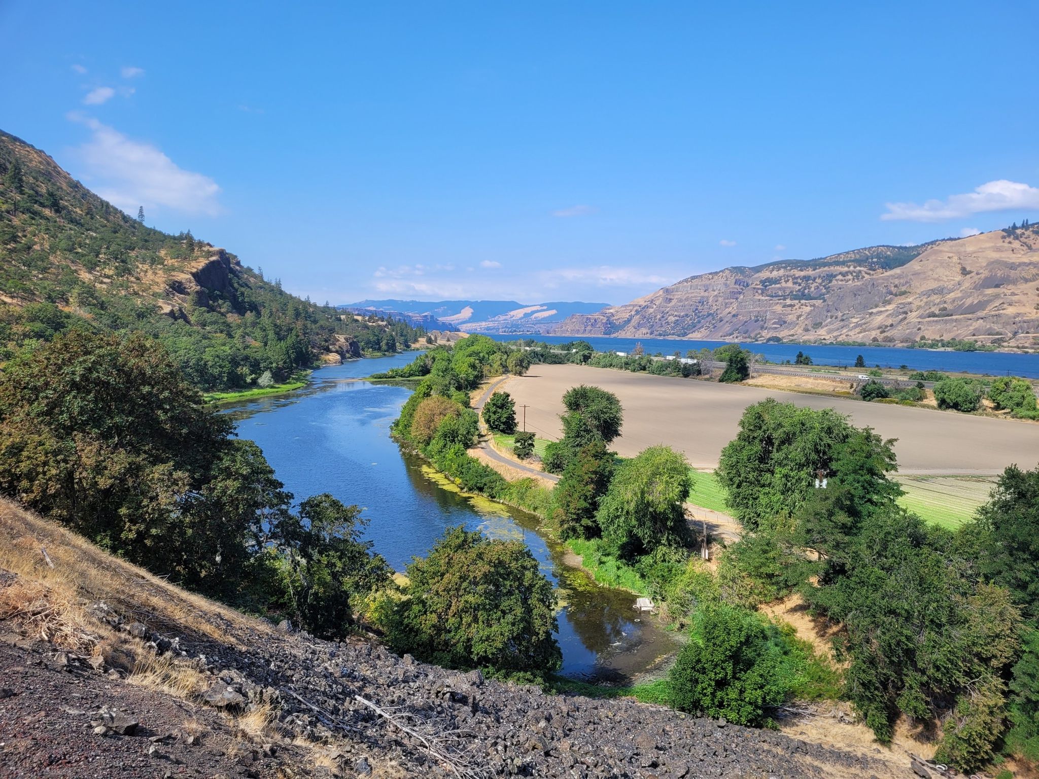 A river winds through green trees and fields under a bright blue sky. - Twin Tunnels Trail – Memaloose Lookout loop from Hood River