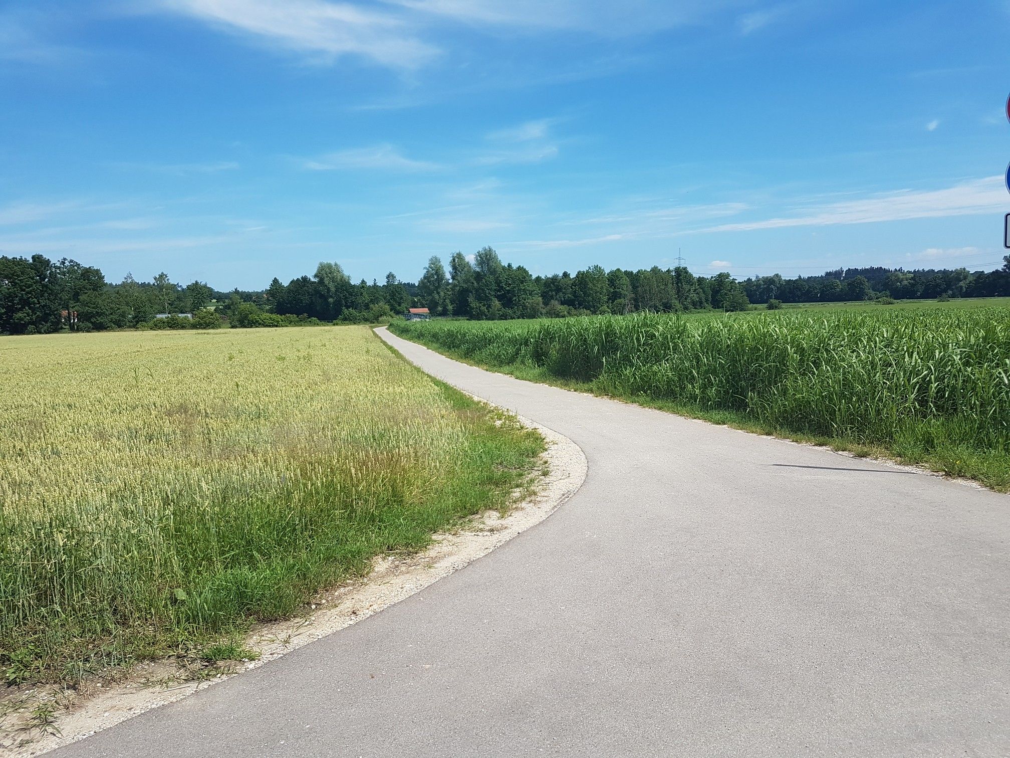 asphaltierter Radweg 