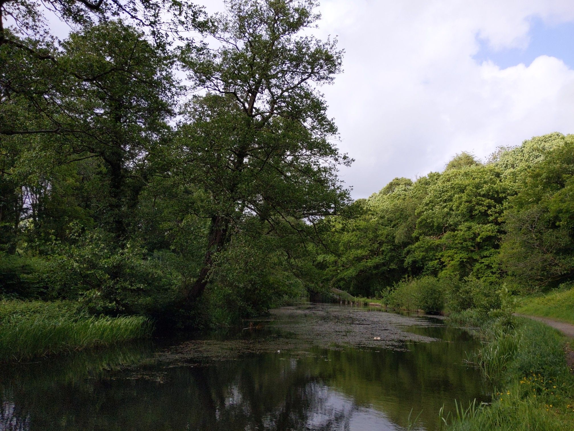 Main basin