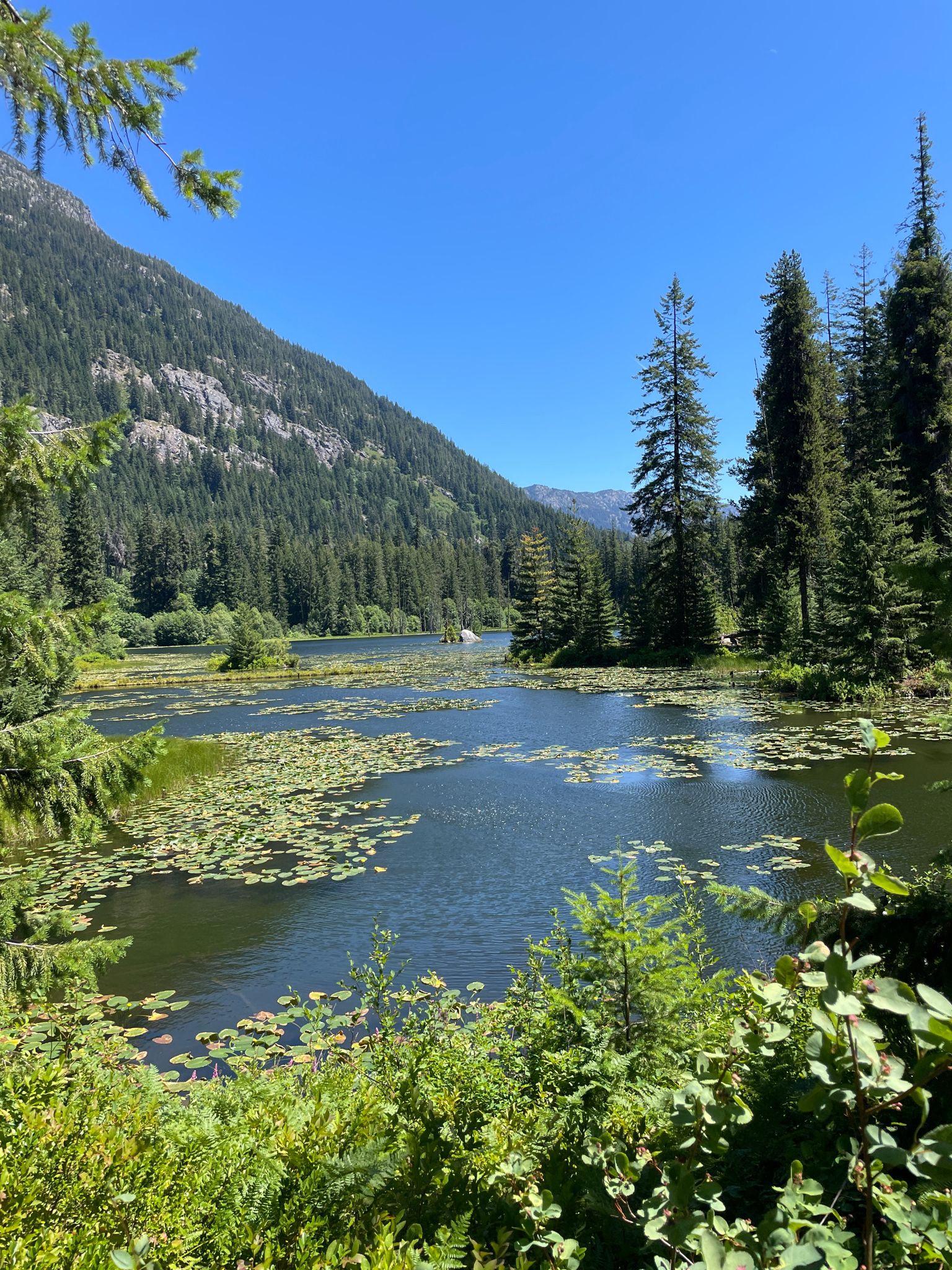 Lake with lily pads, surrounded by forested mountains under clear sky. - Pacific Crest Trail: Stehekin Valley