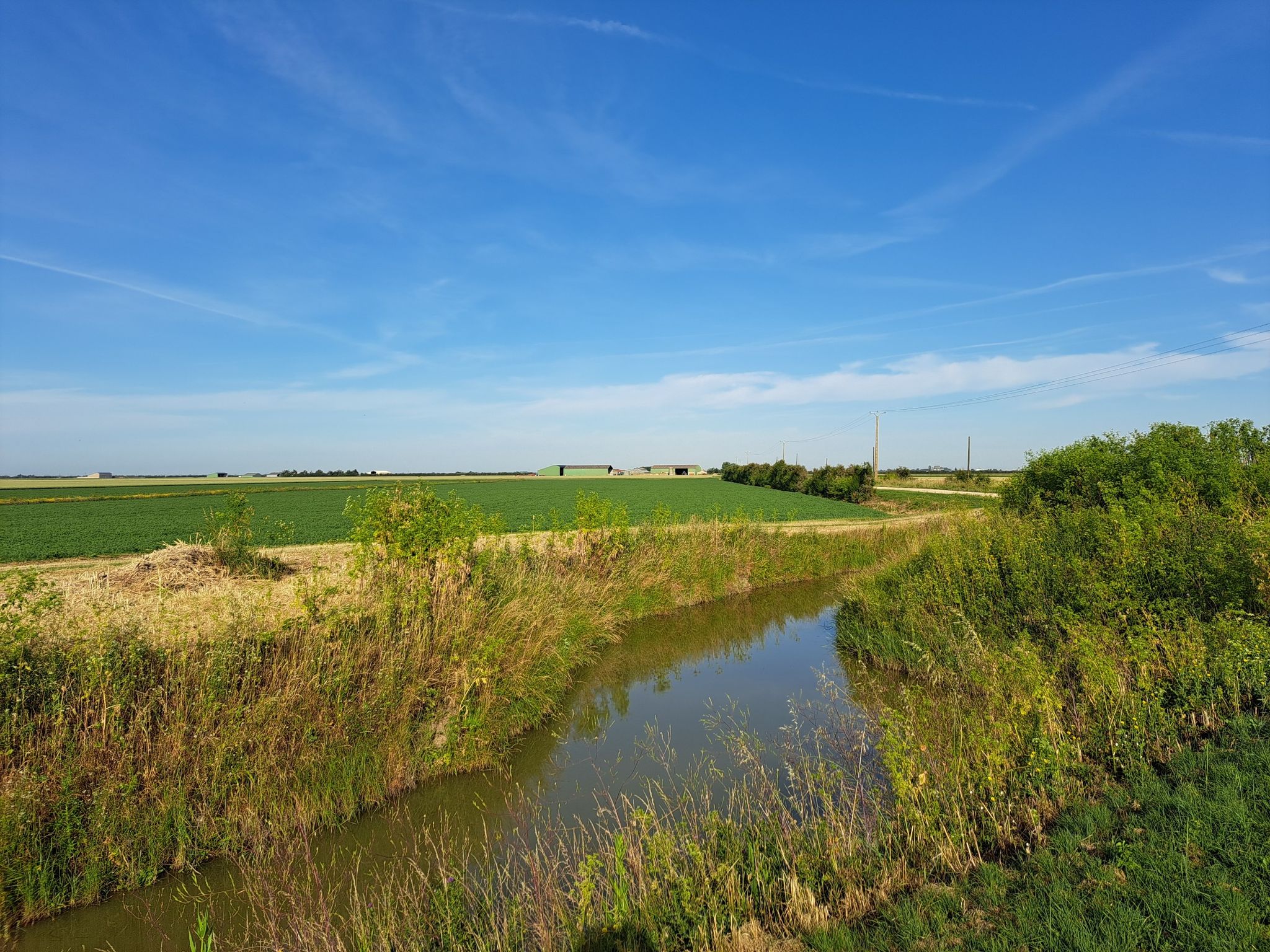 Marais, platt soweit man gucken kann
