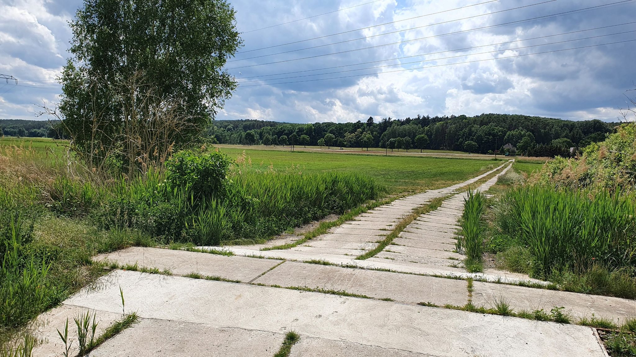 Bahnübergang und Plattenweg Richtung B102