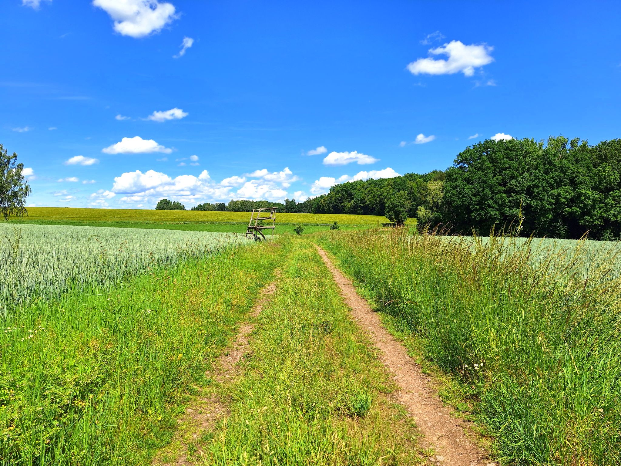 Feldweg ohne Schatten