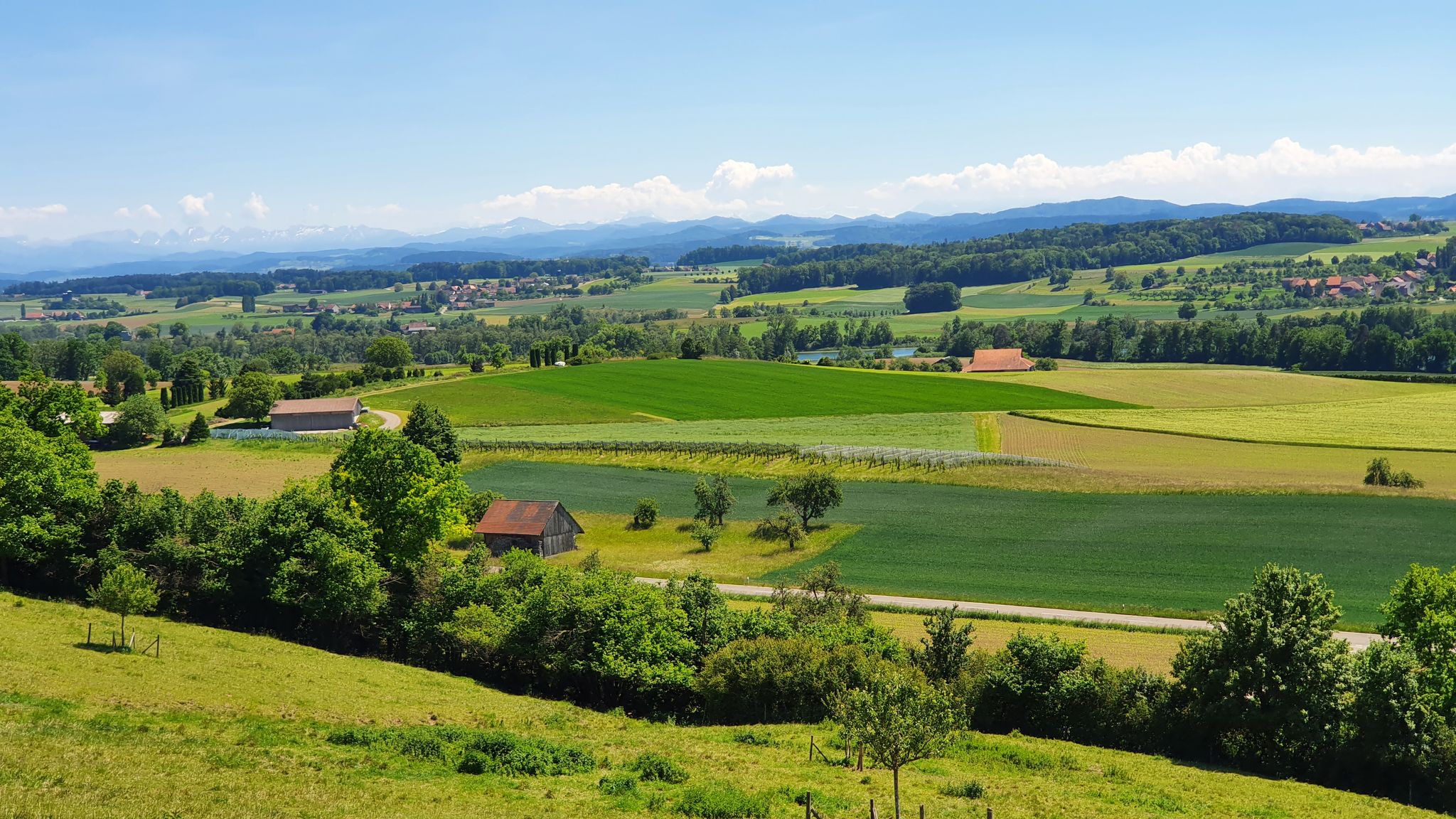 Blick bis zum Alpstein-Säntis