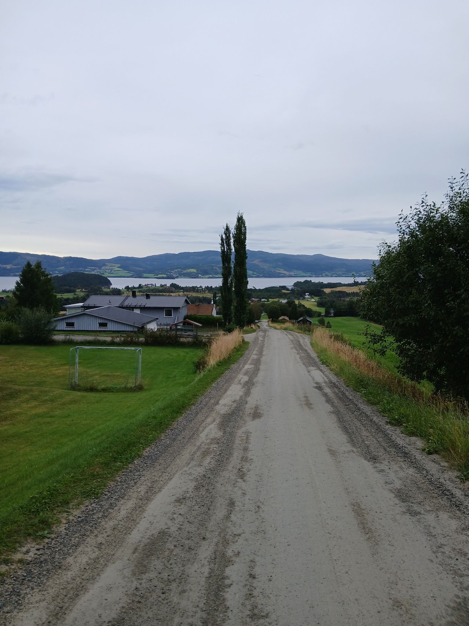 Vikavaret
