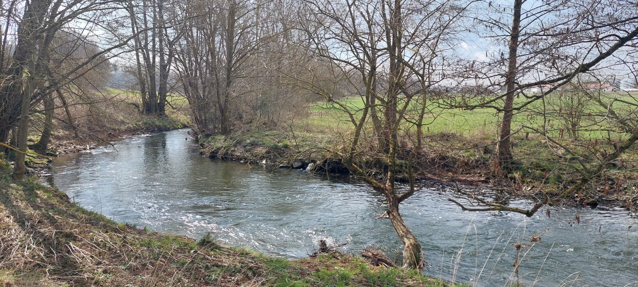 Der Streu 