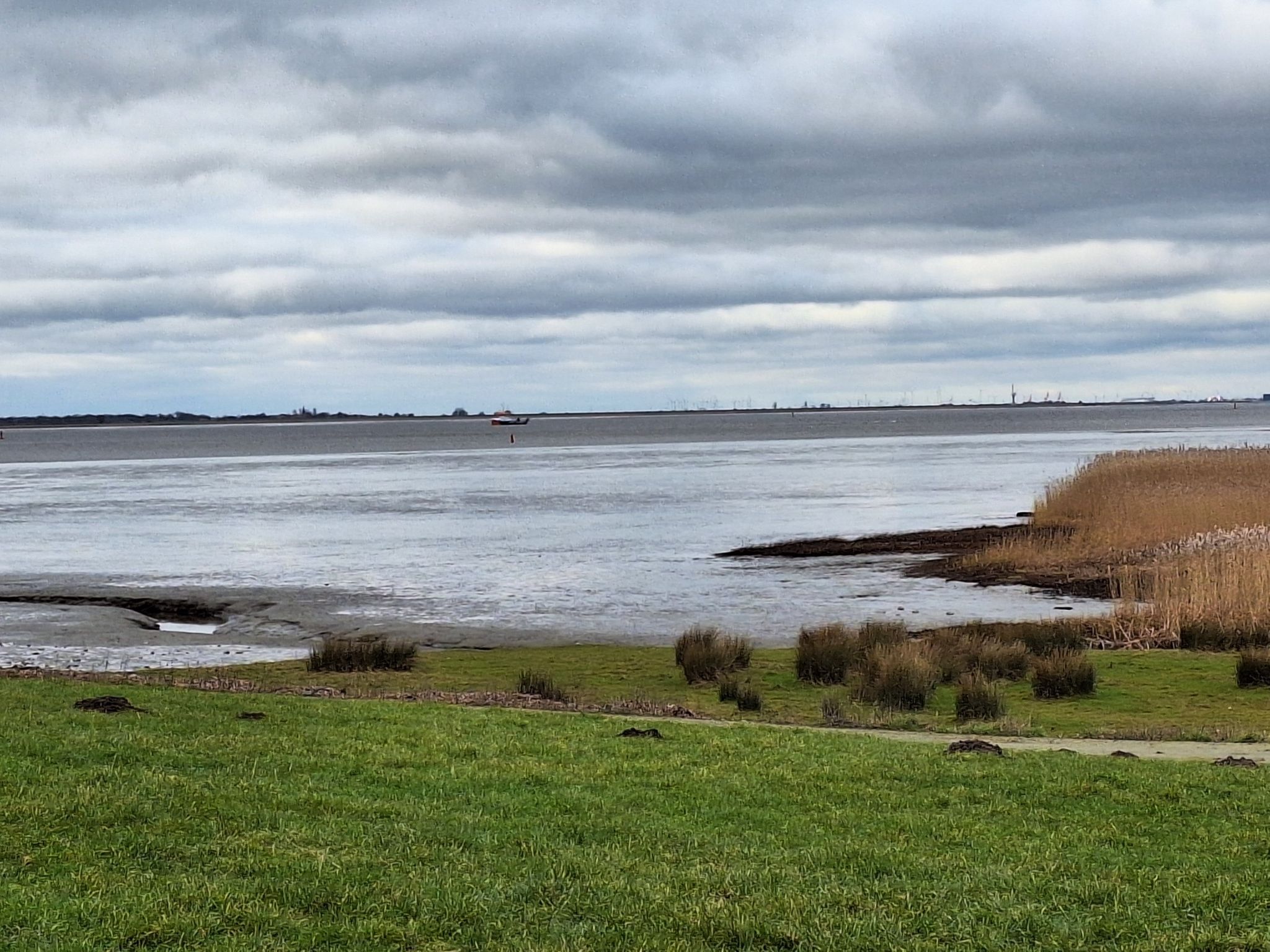 Die Elbe