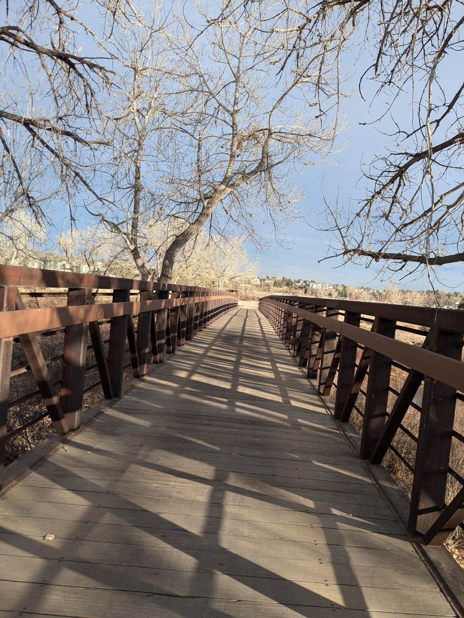 A wooden bridge with long shadows and bare trees under a sunny sky. - South Platte Reservoir – Mary Carter Greenway Trail loop from Columbine Valley