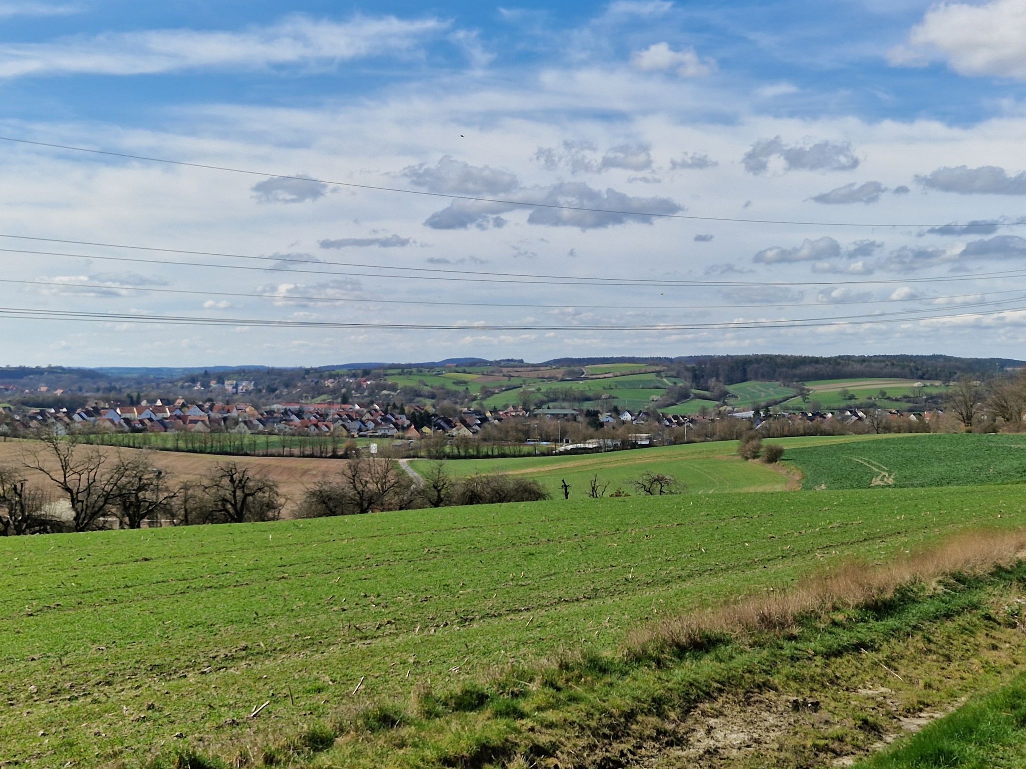 Blick auf Diespeck