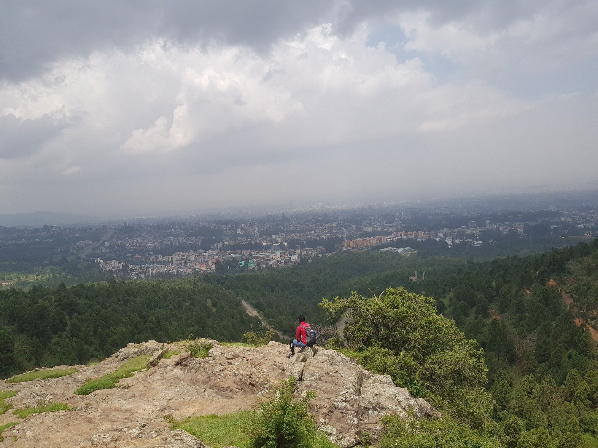 Addis l