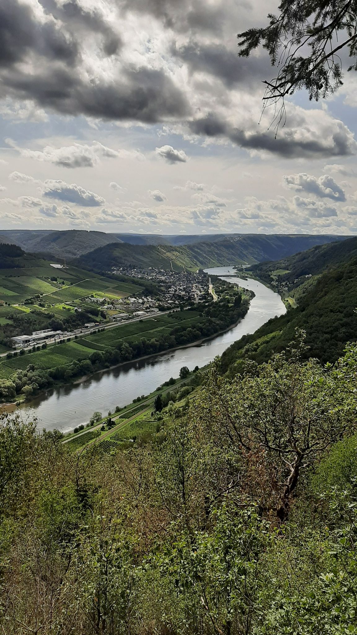 50° nördliche Breite, Moselpanorama Birkensteinchen