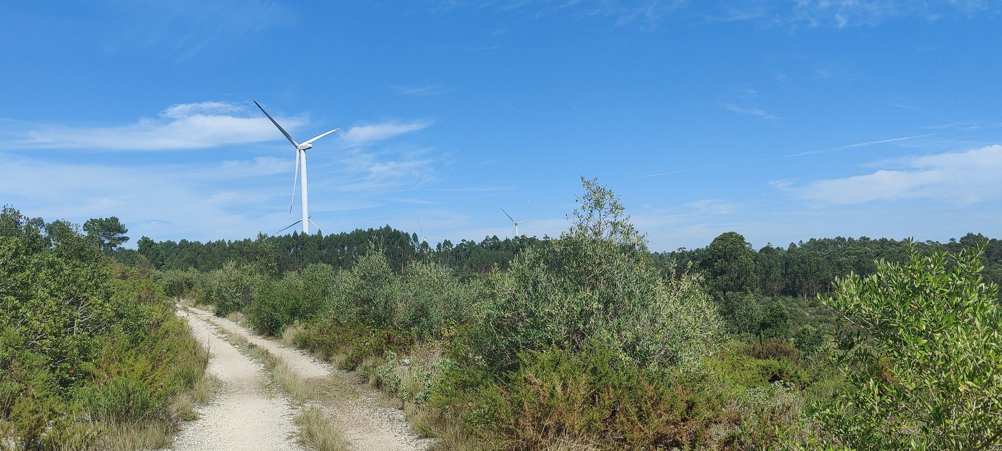Die waren heute morgen noch am Horizont