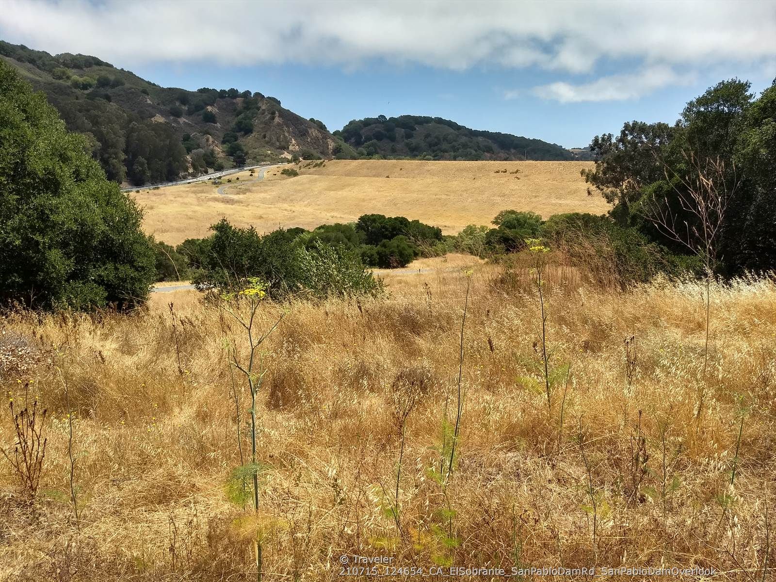 Vast field of dry golden grass leading to distant green hills. - San Pablo Reservoir – Orinda BART Station loop from Pinole