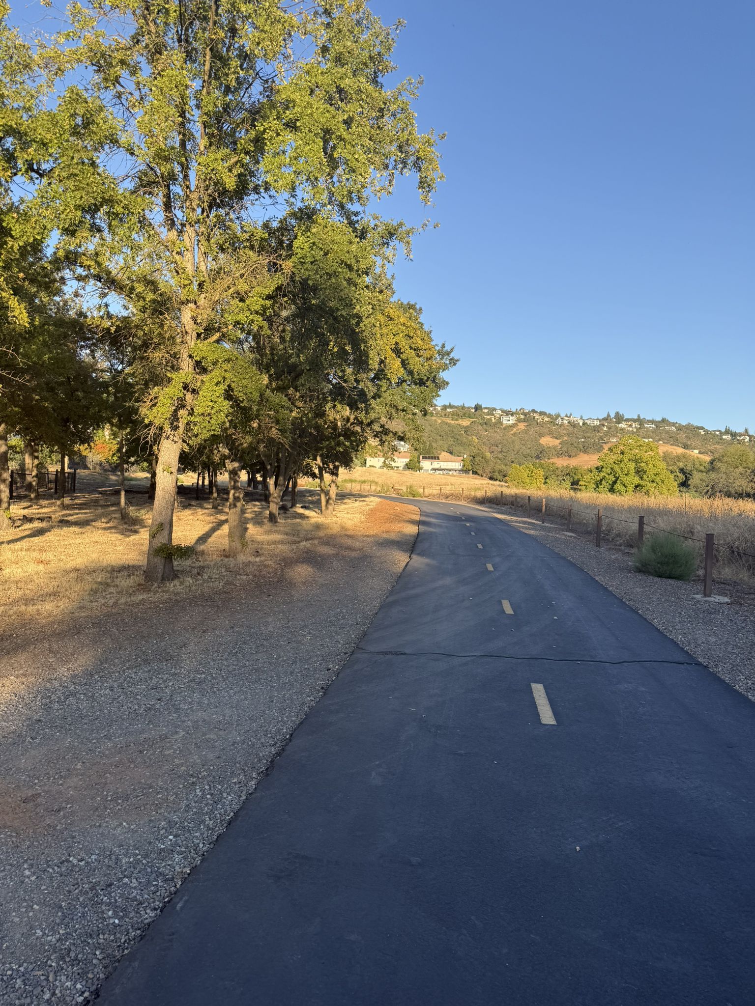 A paved path alongside trees and dry hills under a clear, sunny sky. - Empire Ranch Trail