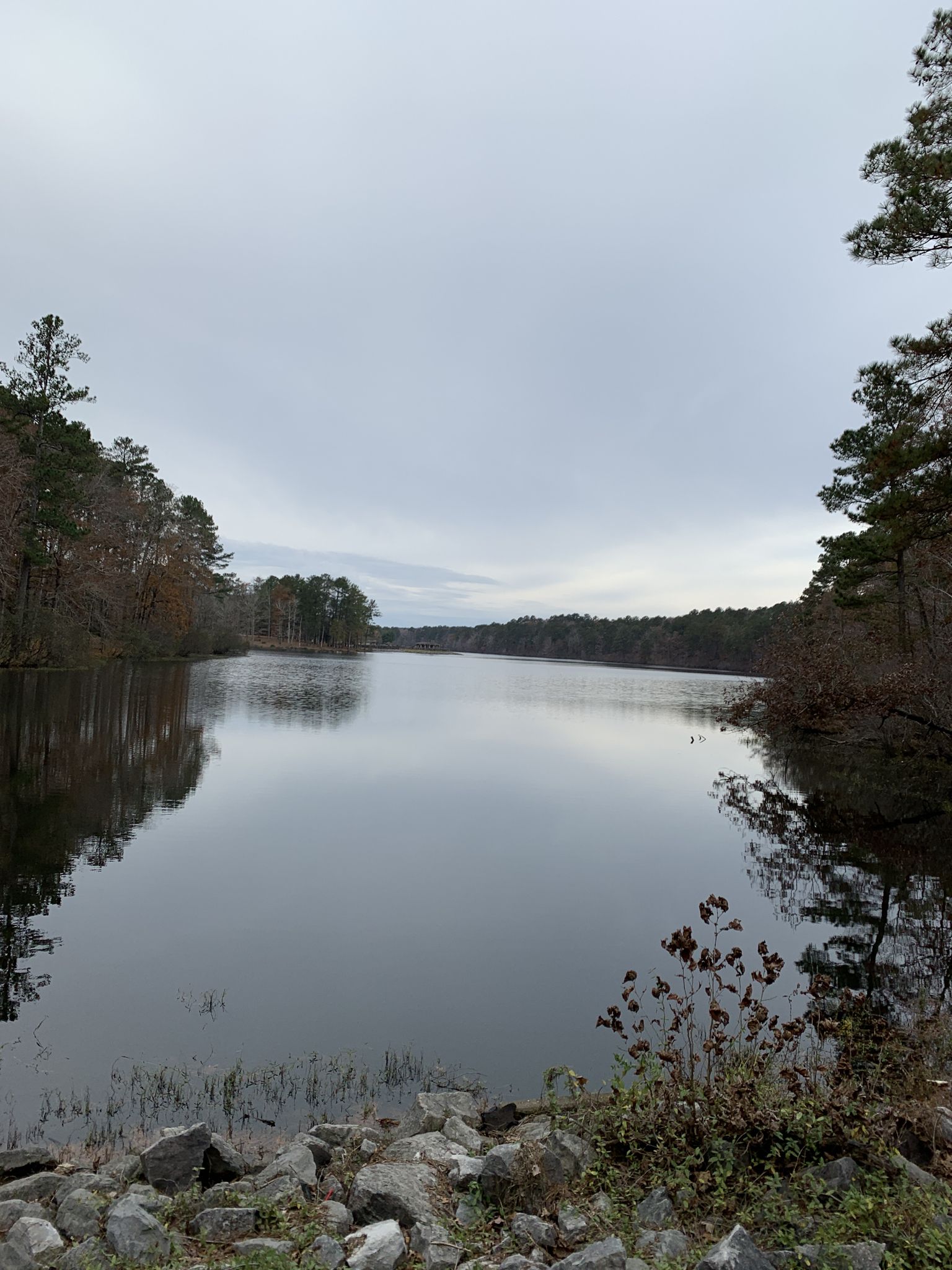 Calm lake surrounded by autumn trees under an overcast sky. - Lake Trail Trailhead – Oak Mountain State Park Office loop from ATM