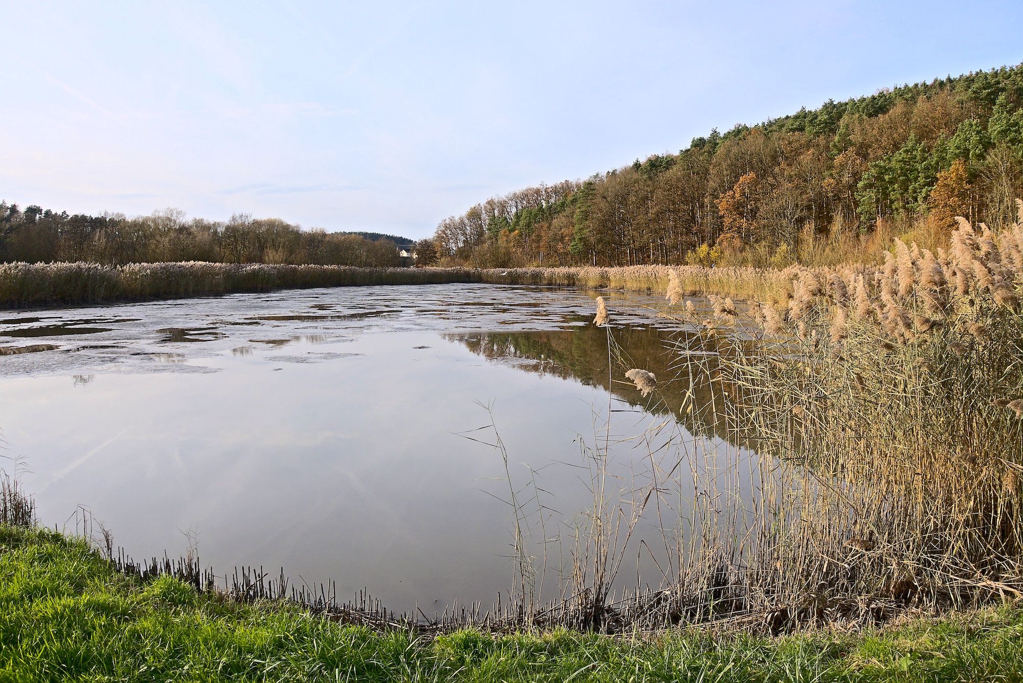 Weiher an der Aurach