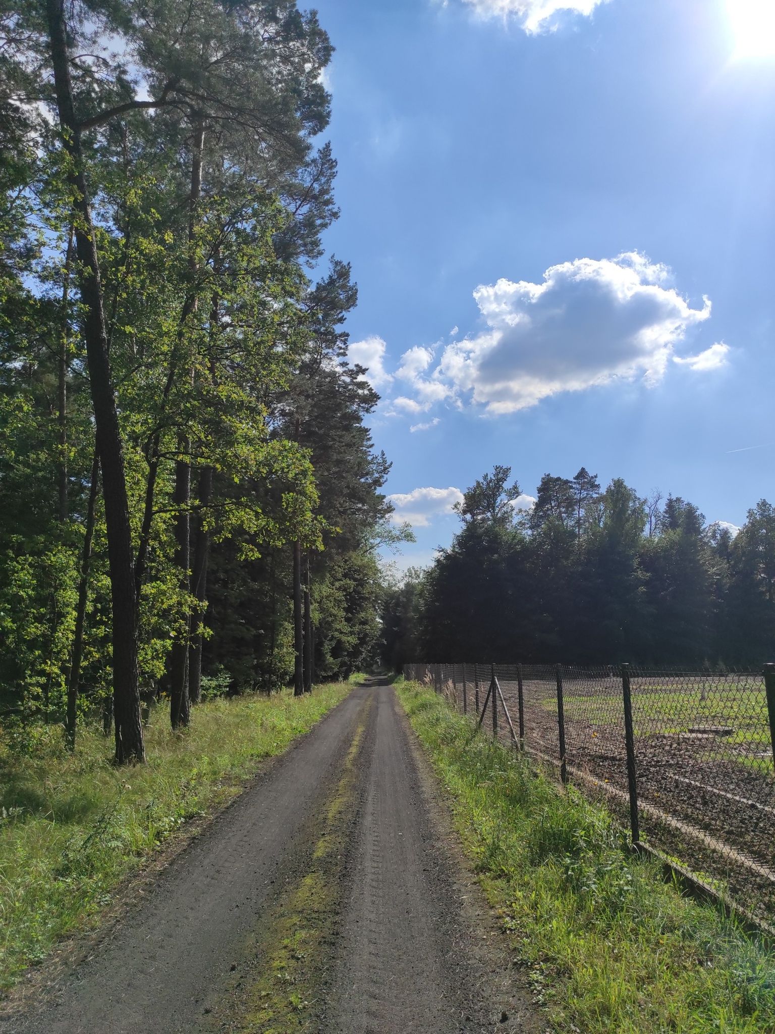 black road