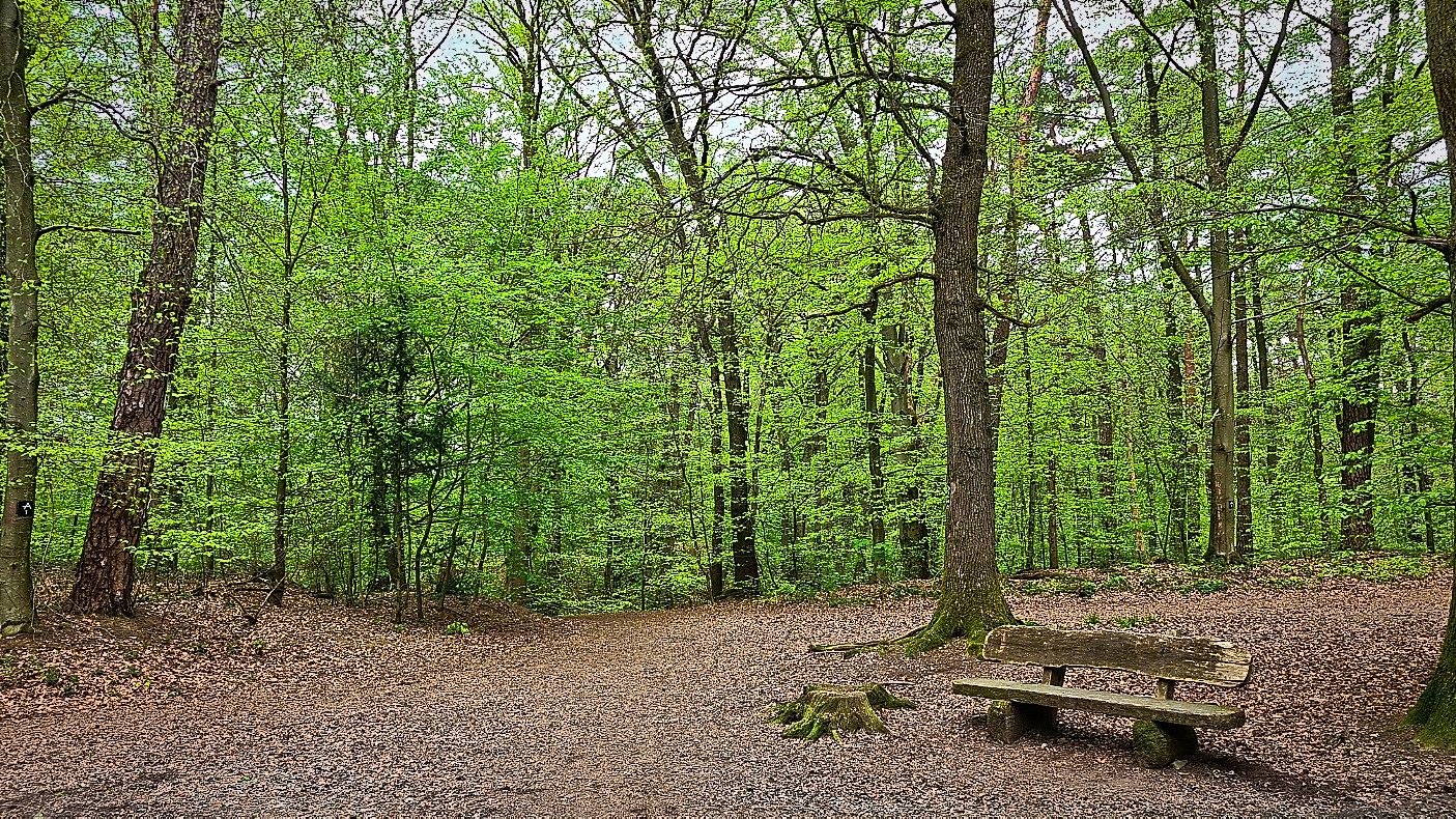 Ruhebank links liegen lassen !