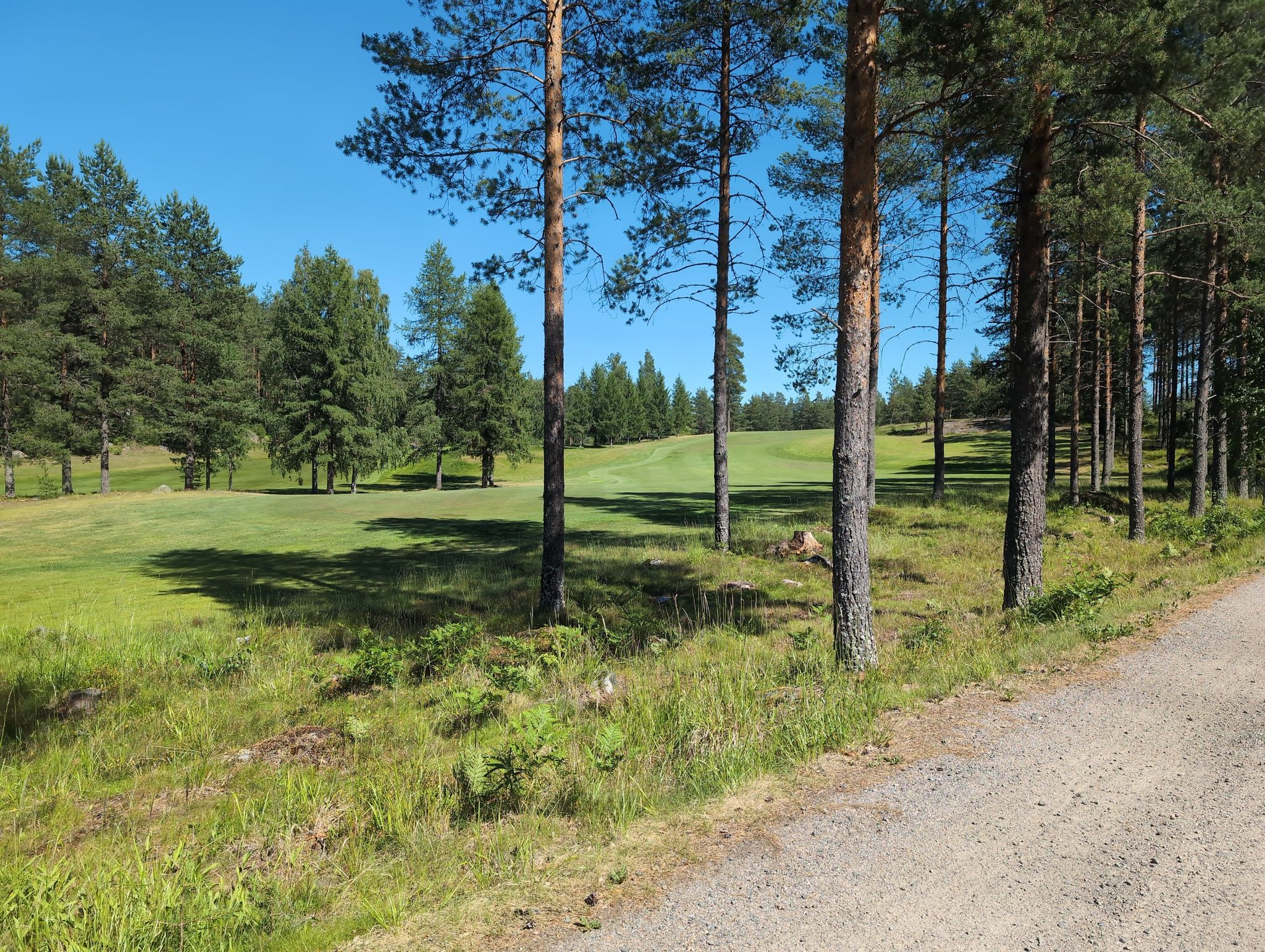 Golfplatz