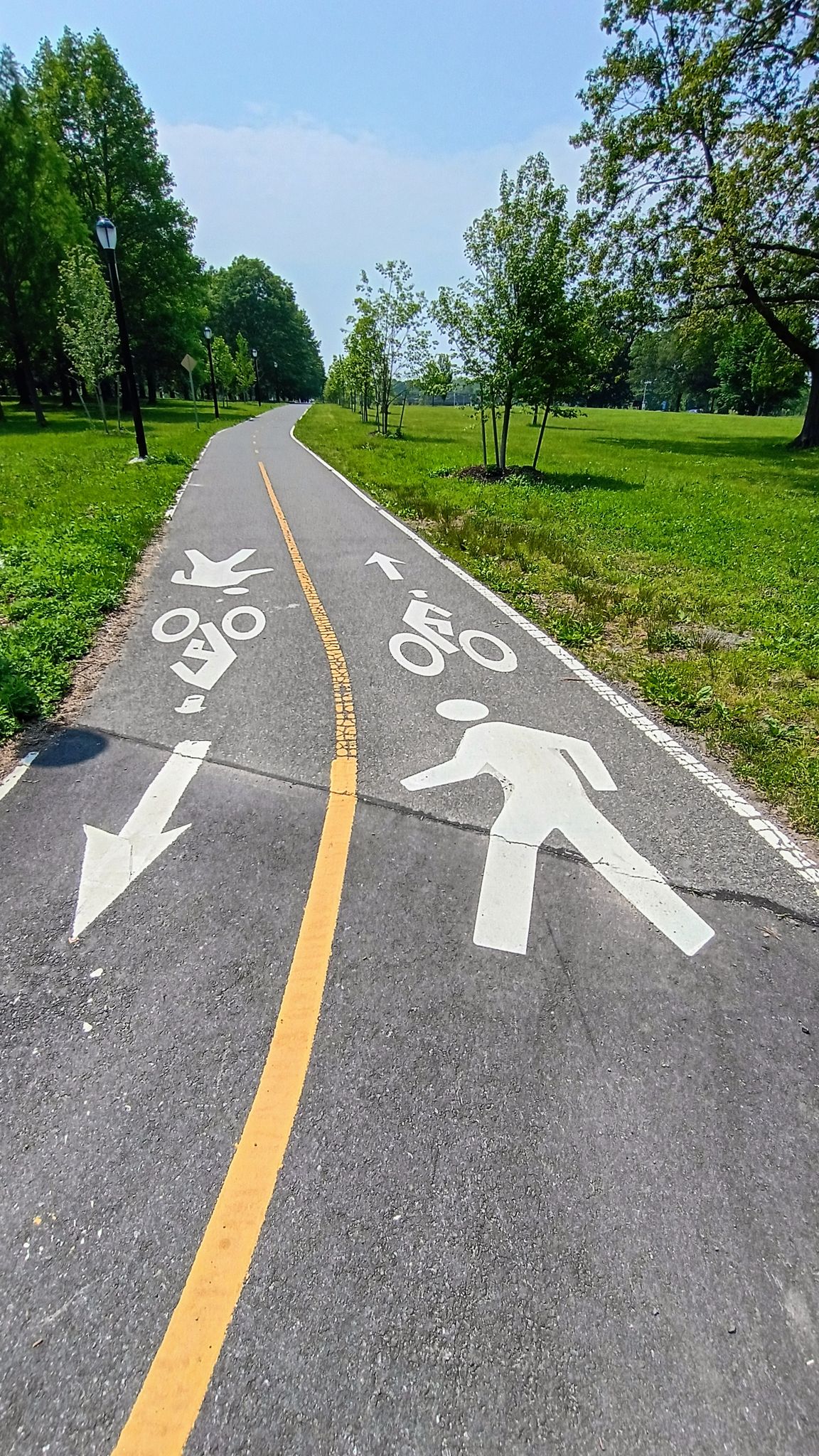 Paved path with pedestrian and bicycle symbols, surrounded by green grass and trees. - Mosholu-Pelham Greenway and Pelham Bay Park Loop
