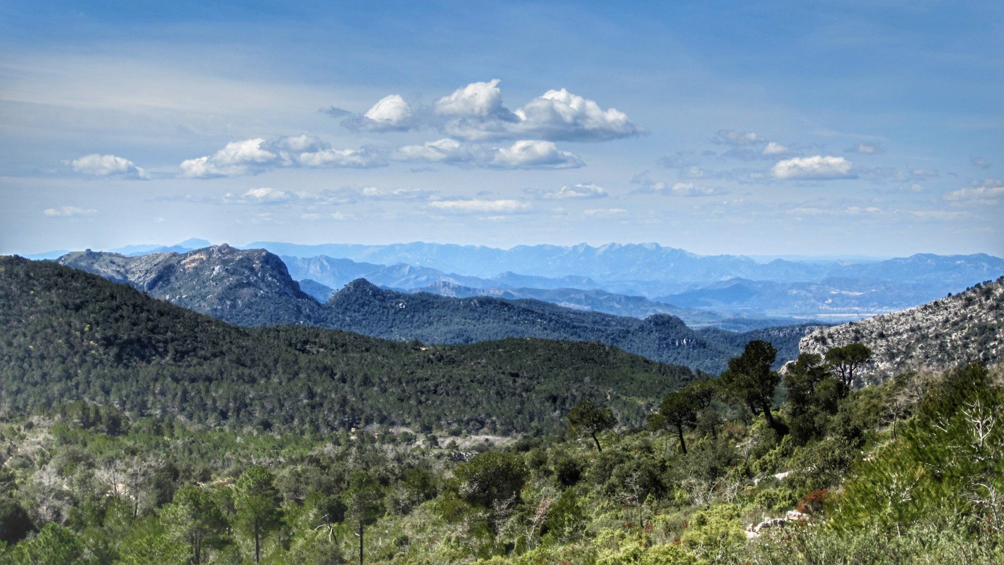 Panoràmica SO des dels Arenals