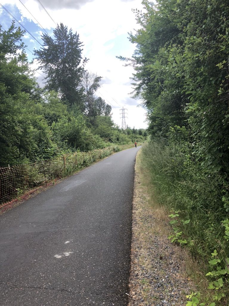 Paved path through green trees and grass, distant person walking. - Springwater Trail – Main City Park loop from Gresham
