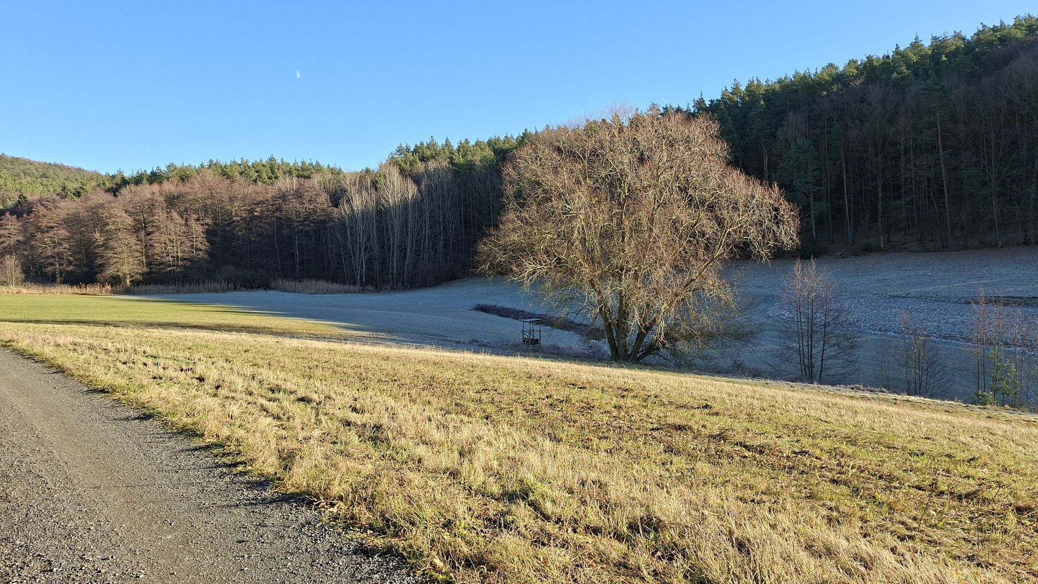 frostiger Grund 