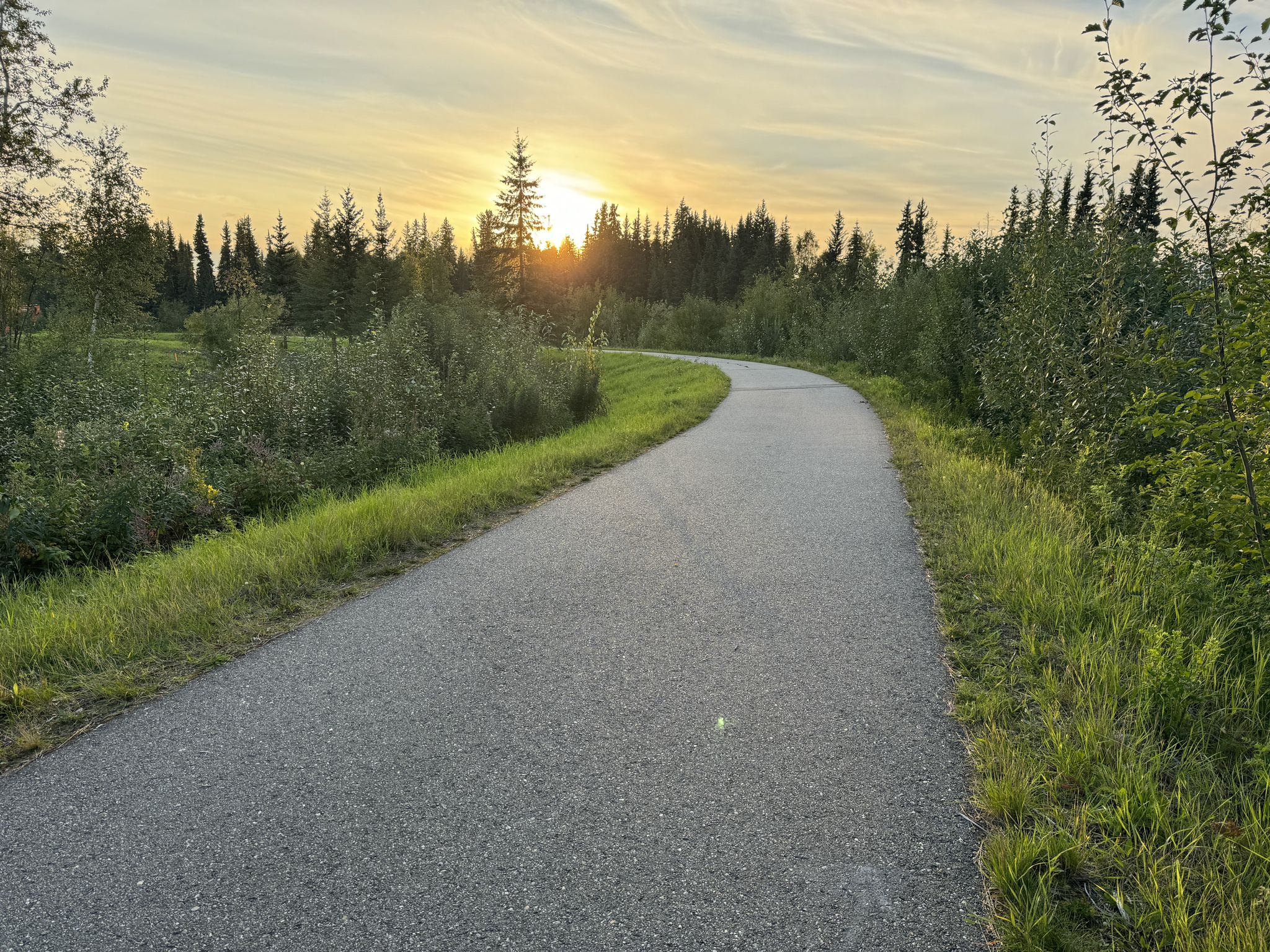 A paved path curves through a green forest with the sun setting in the distance. - Chena Riverwalk