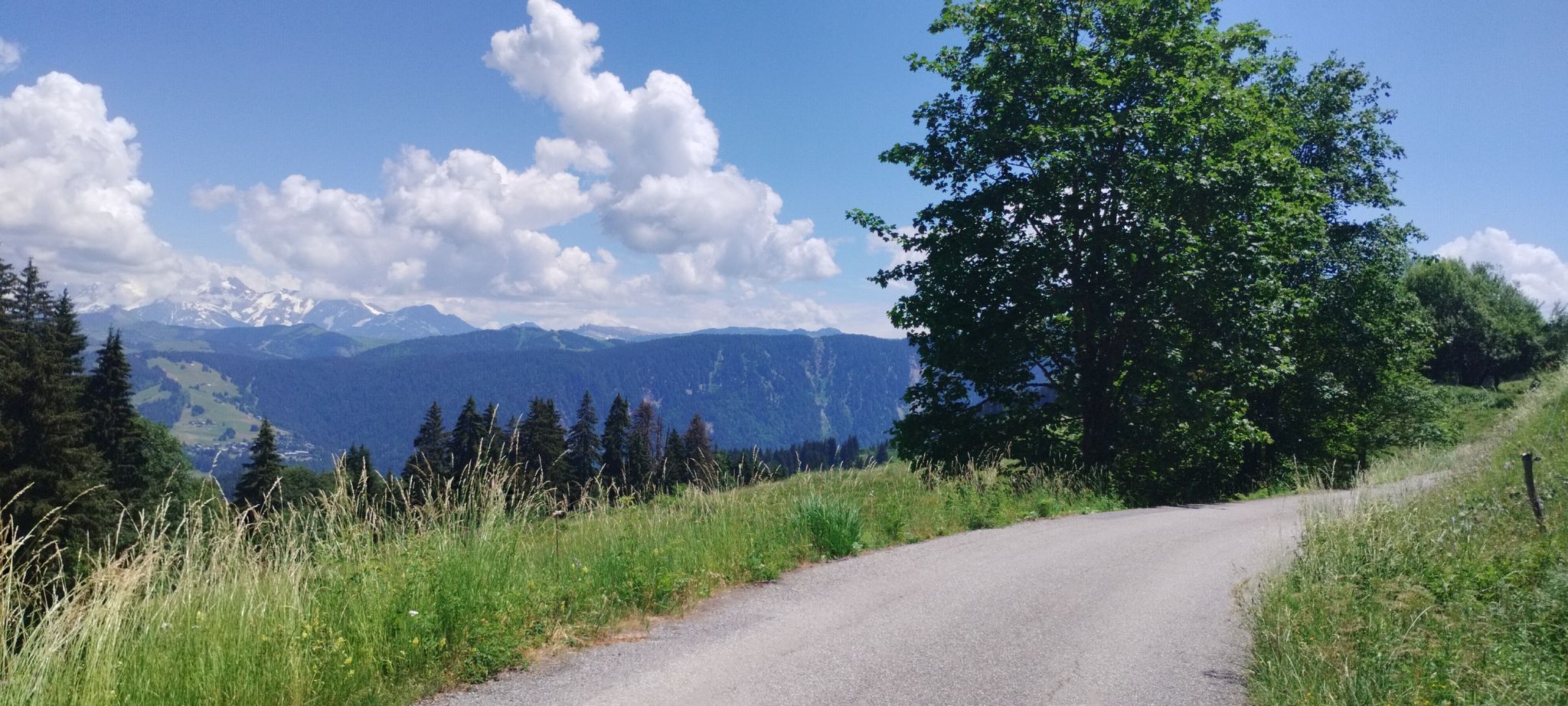 D109, Abfahrt nach Ugine mit Bergblick 