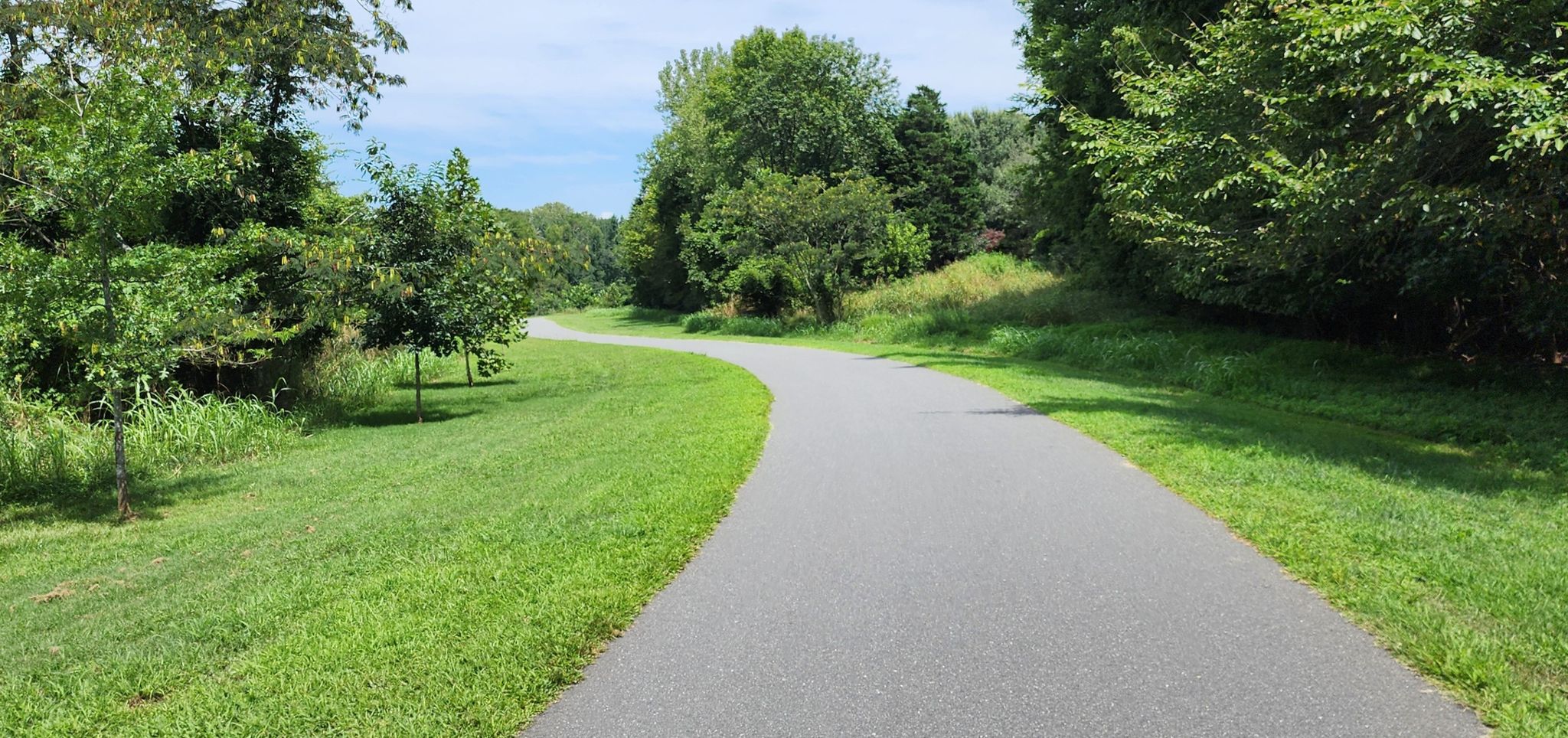 Winding paved path through lush green grass and dense trees on a sunny day. - Little Sugar Creek Greenway: Huntingtowne Farms to South Boulevard