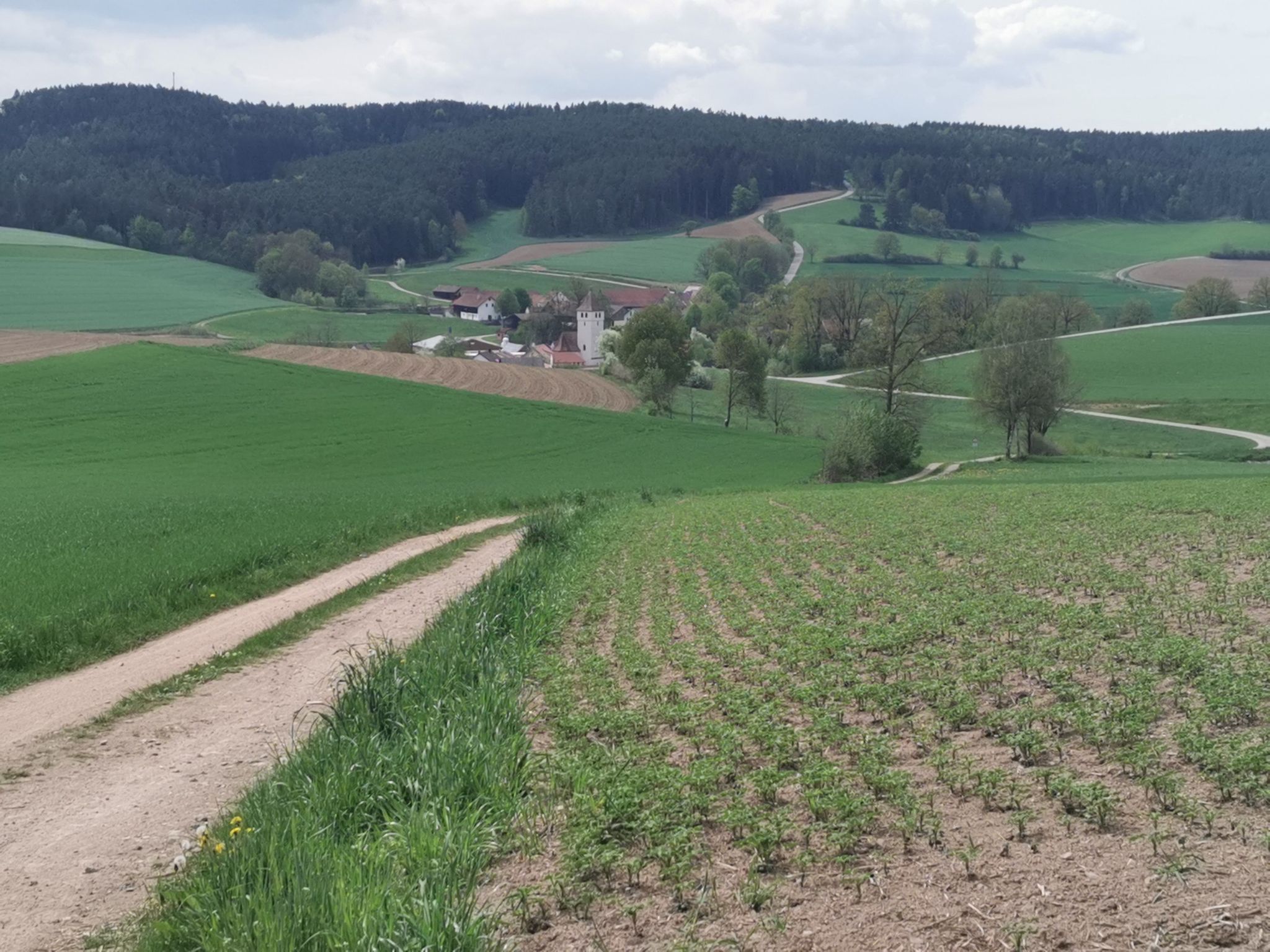 Mitterauerbach