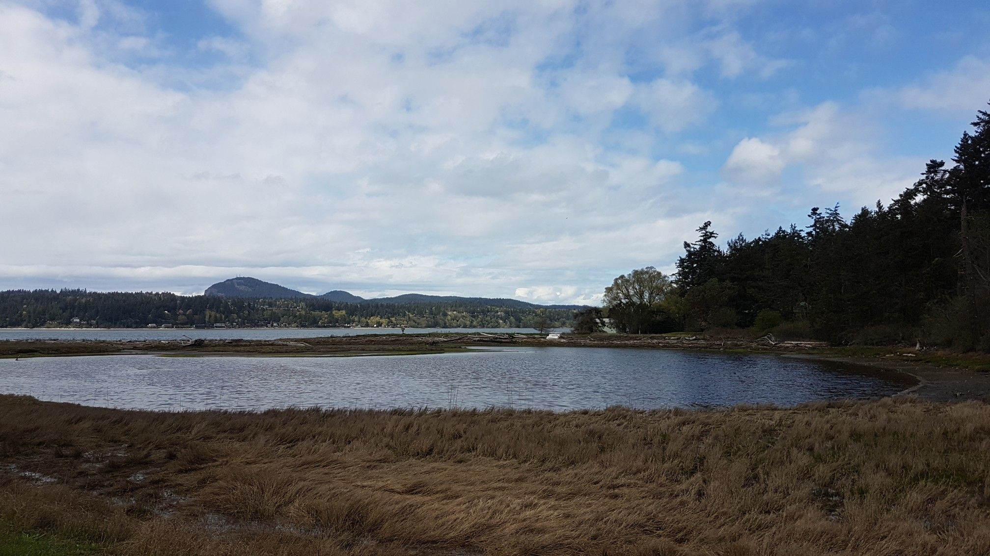 Bright view of a wide bay with grassy shore and distant forested mountains. - Kukutali Preserve loop from Kukutali Preserve