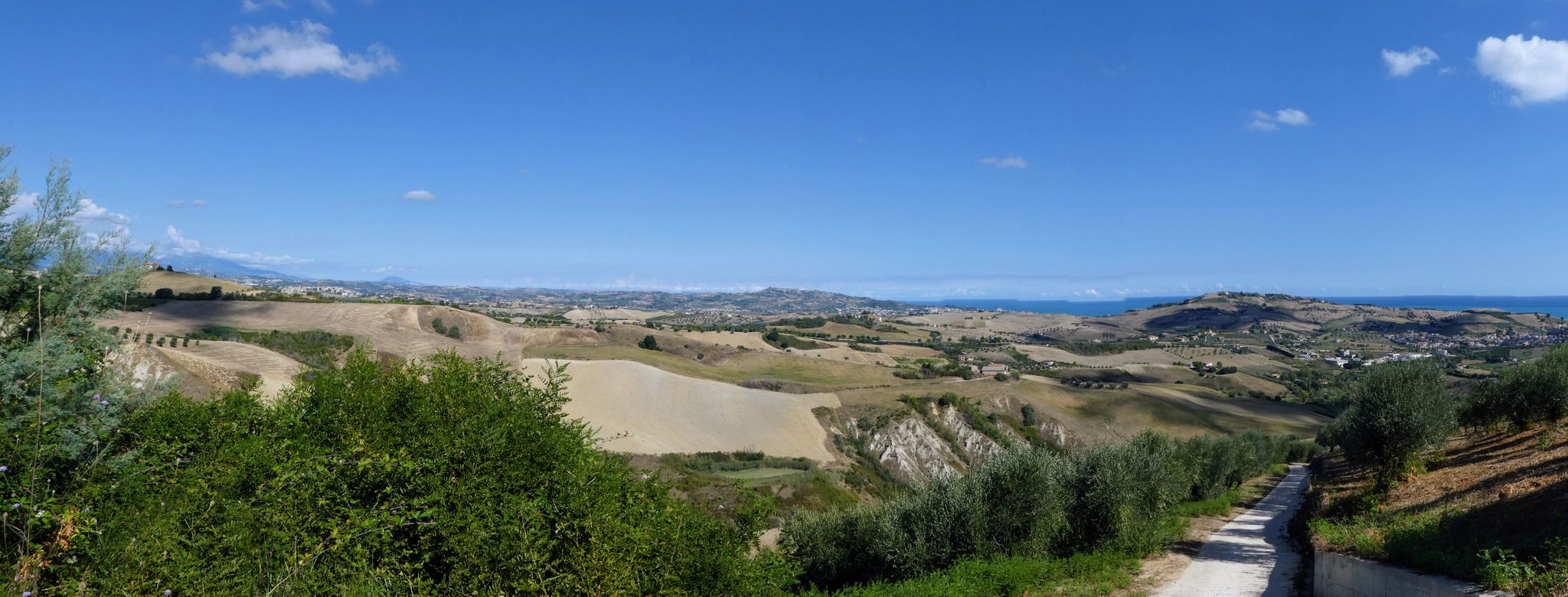 Mutignano