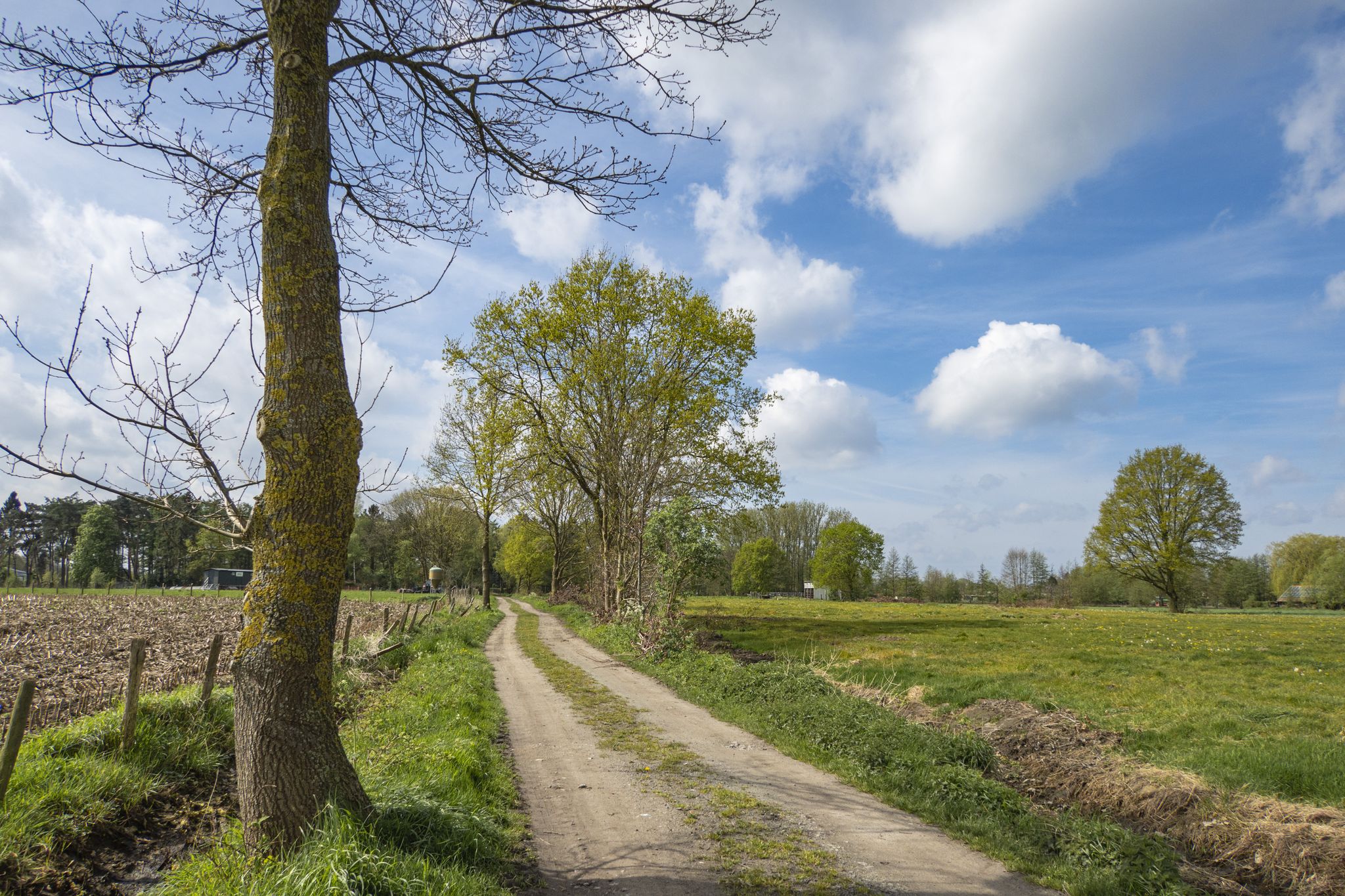 Tussen de velden in de Vaarschootstraat