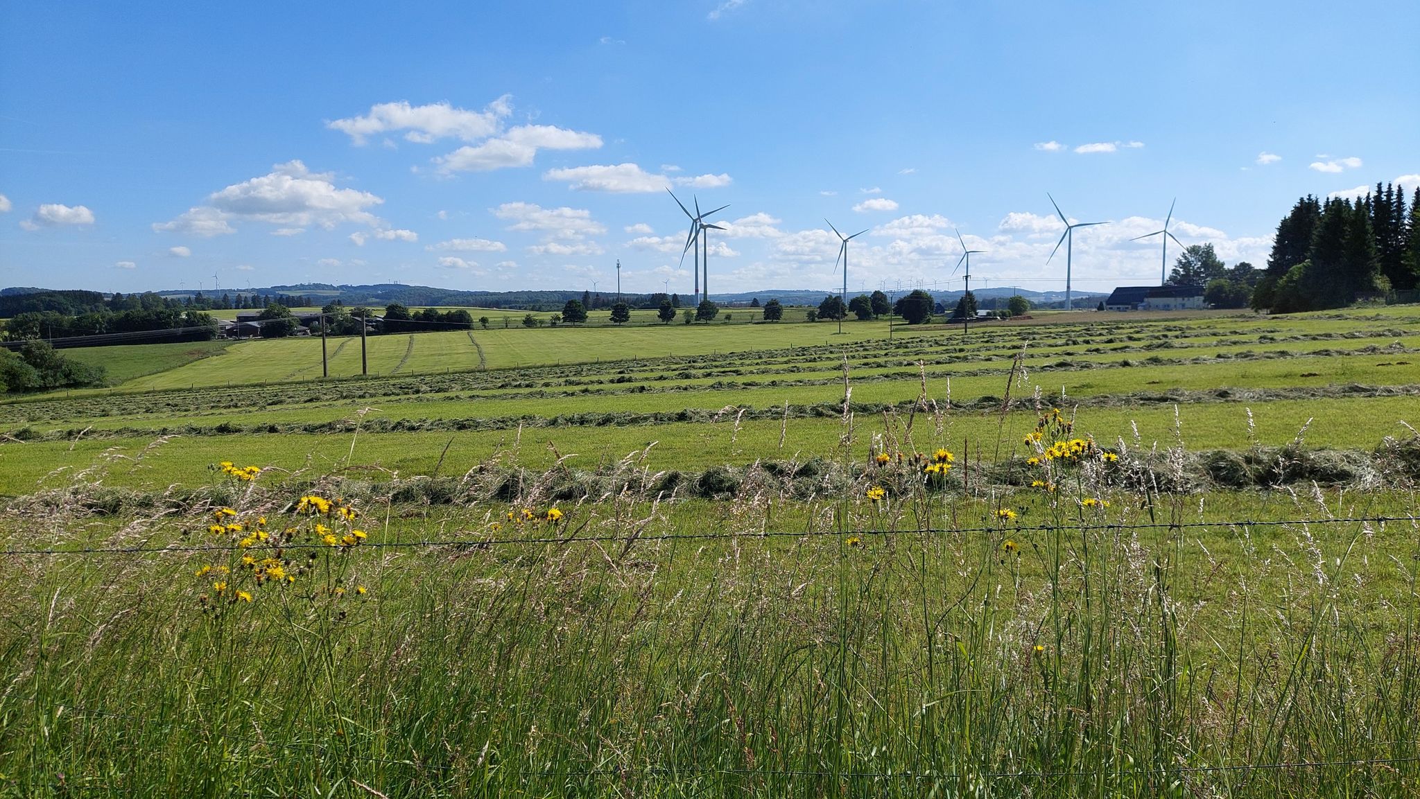 Windpark Höhn