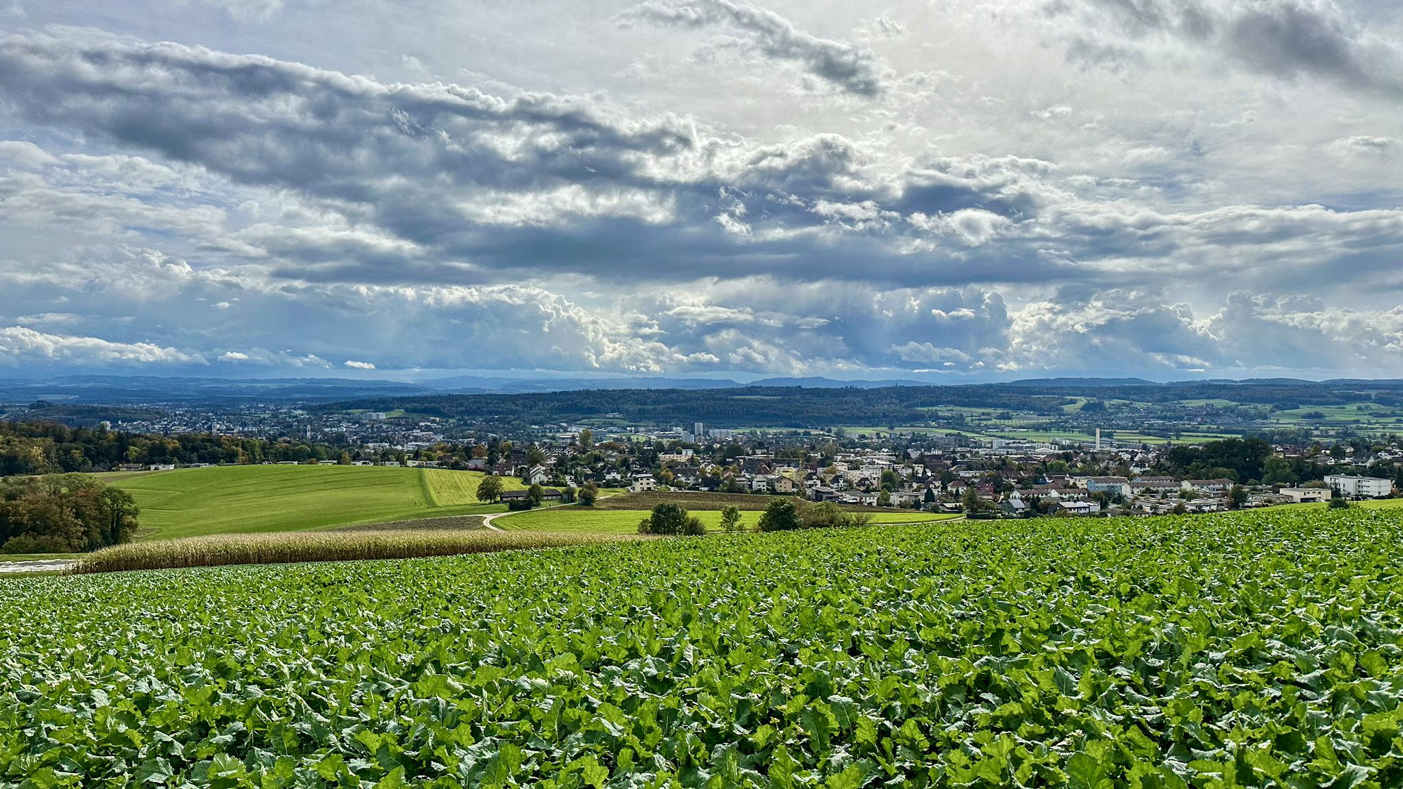 ...mit netter Aussicht auf die Alpen, die mal wieder schlafen🙄🙃...