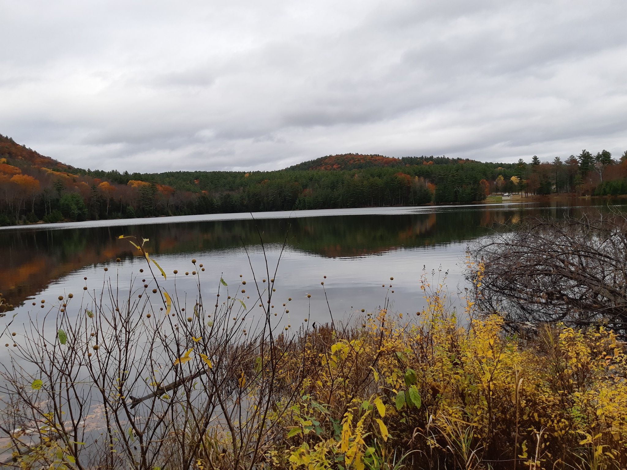 A calm lake reflects autumn trees and a cloudy sky. - Cat and Thomas Mountain Loop