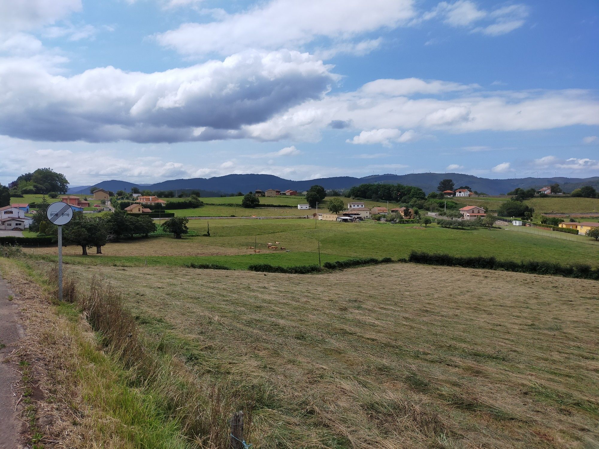 biedes1