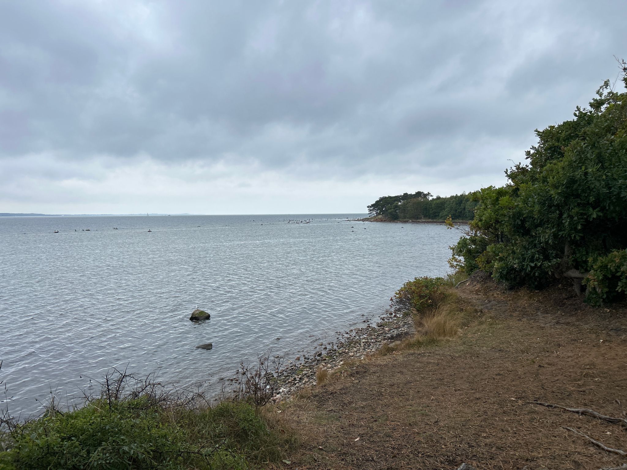 Im Naturreservat Kulla-Gunnarstorp