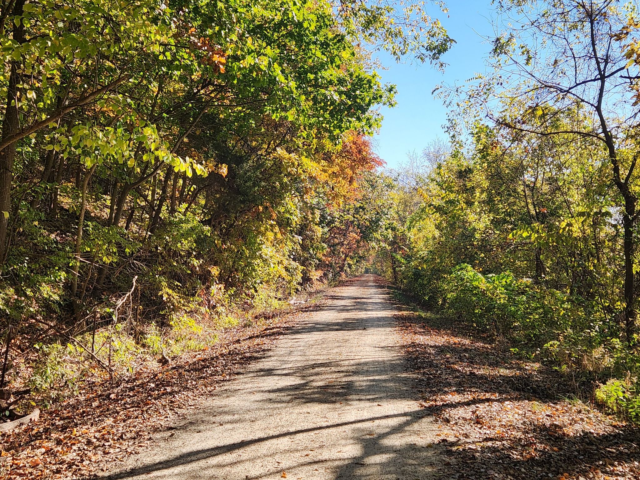 A dirt path winds through autumn trees with colorful leaves on a sunny day. - Bums Cave – Missouri River loop from Marthasville