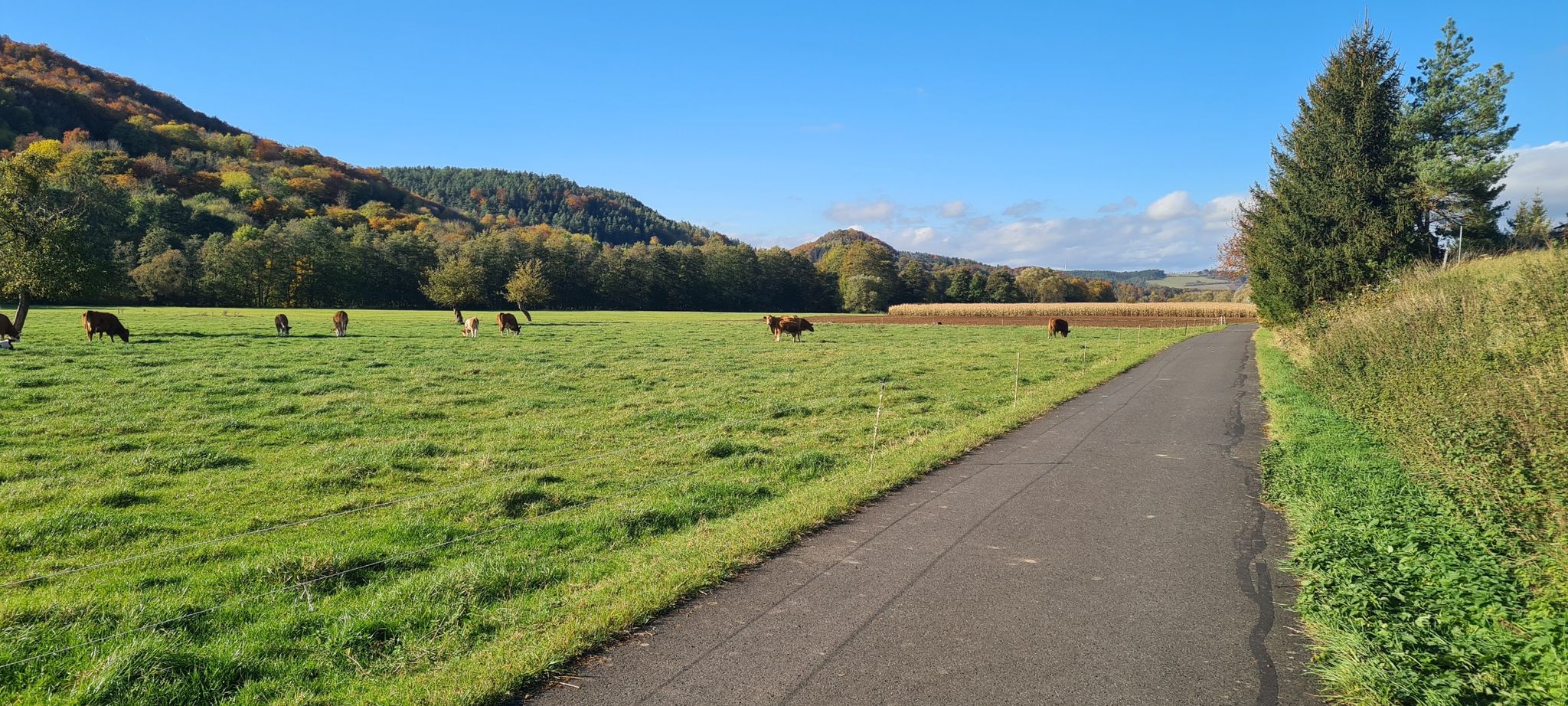 Ulstertal-Radweg