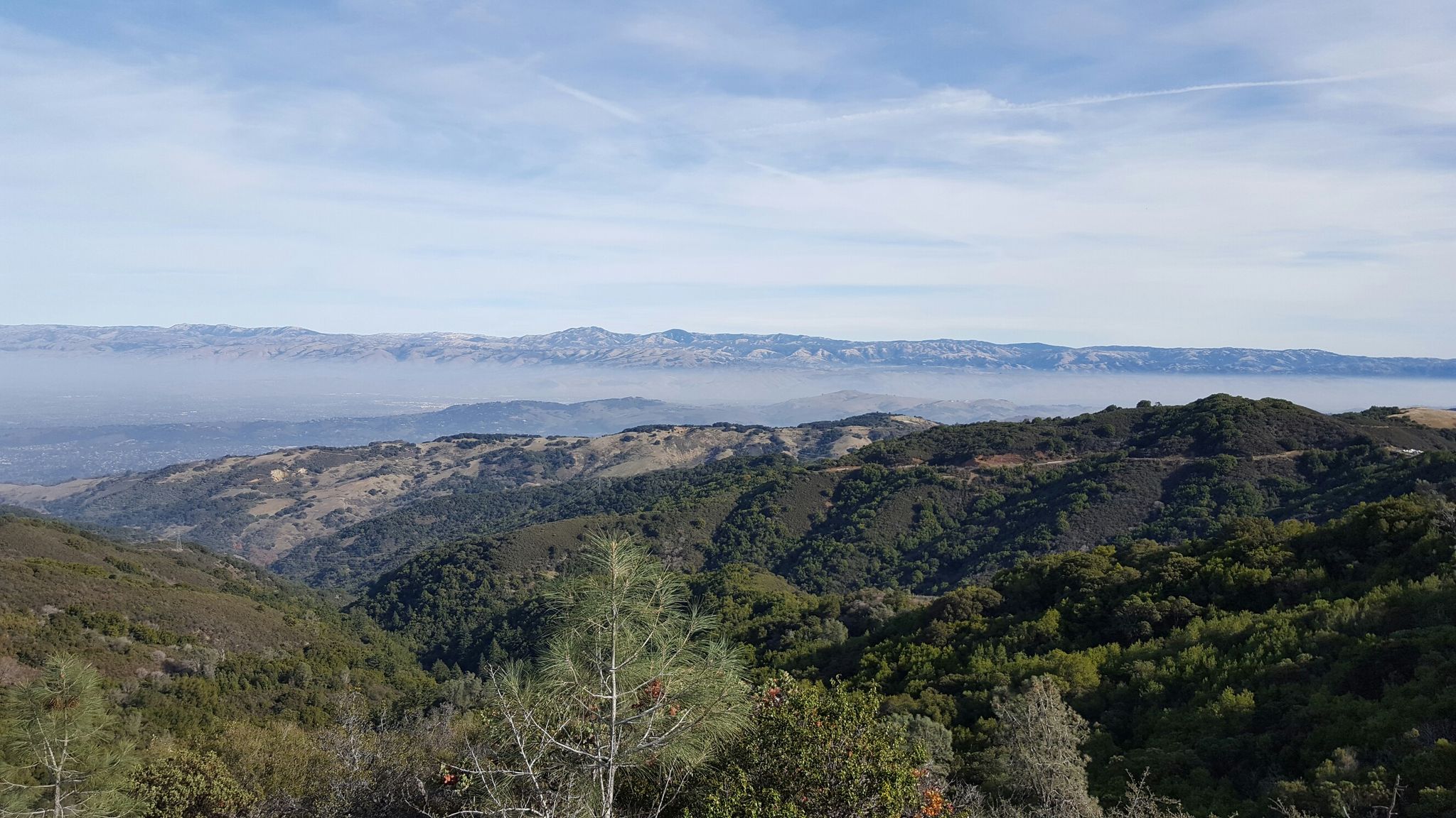Expansive view of forested hills and distant mountains under a clear sky. - Mount Umunhum Trail