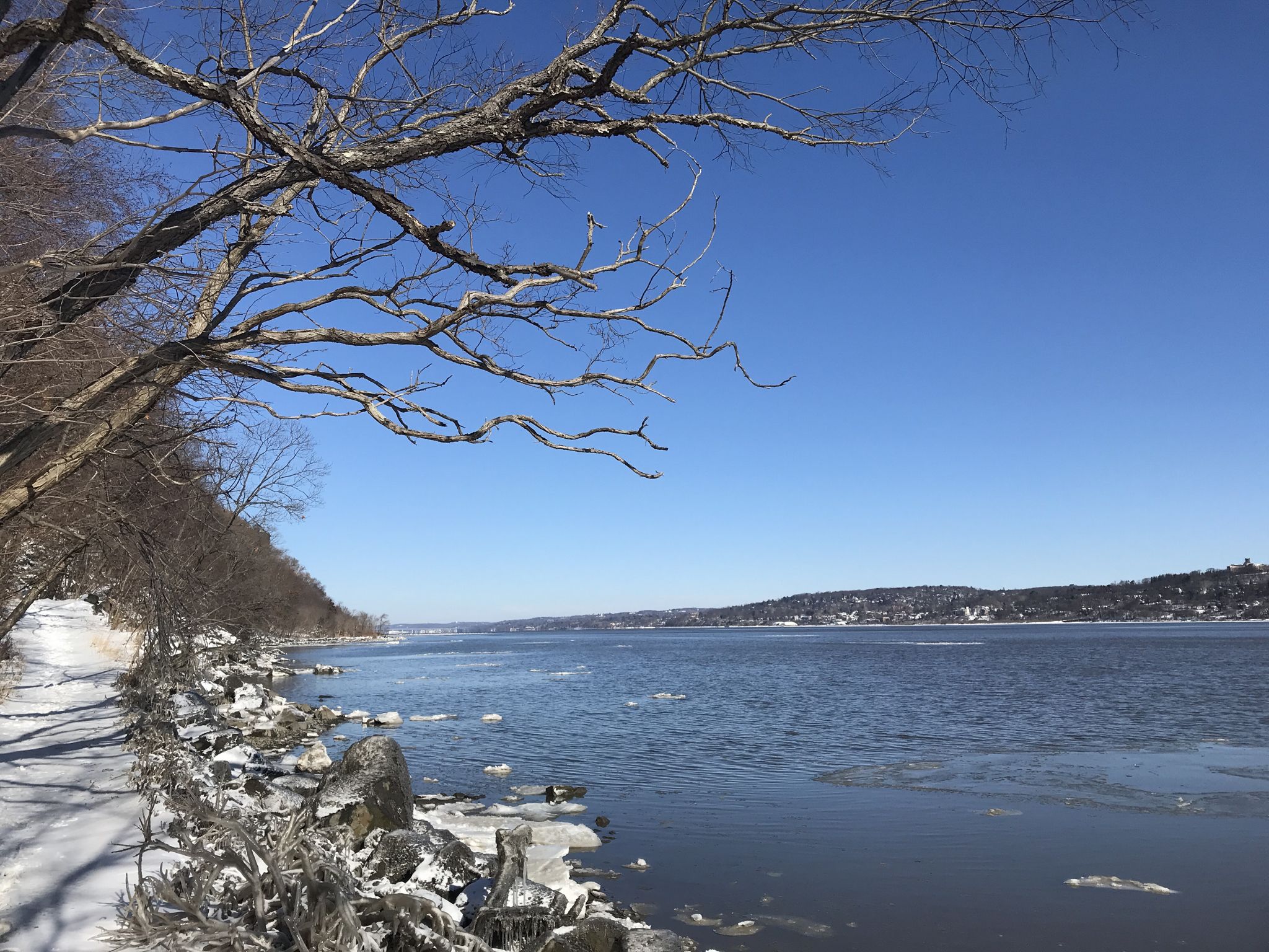 Sunny winter scene with a snowy riverbank, icy water, and bare trees. - Shore Trail and Long Path Loop