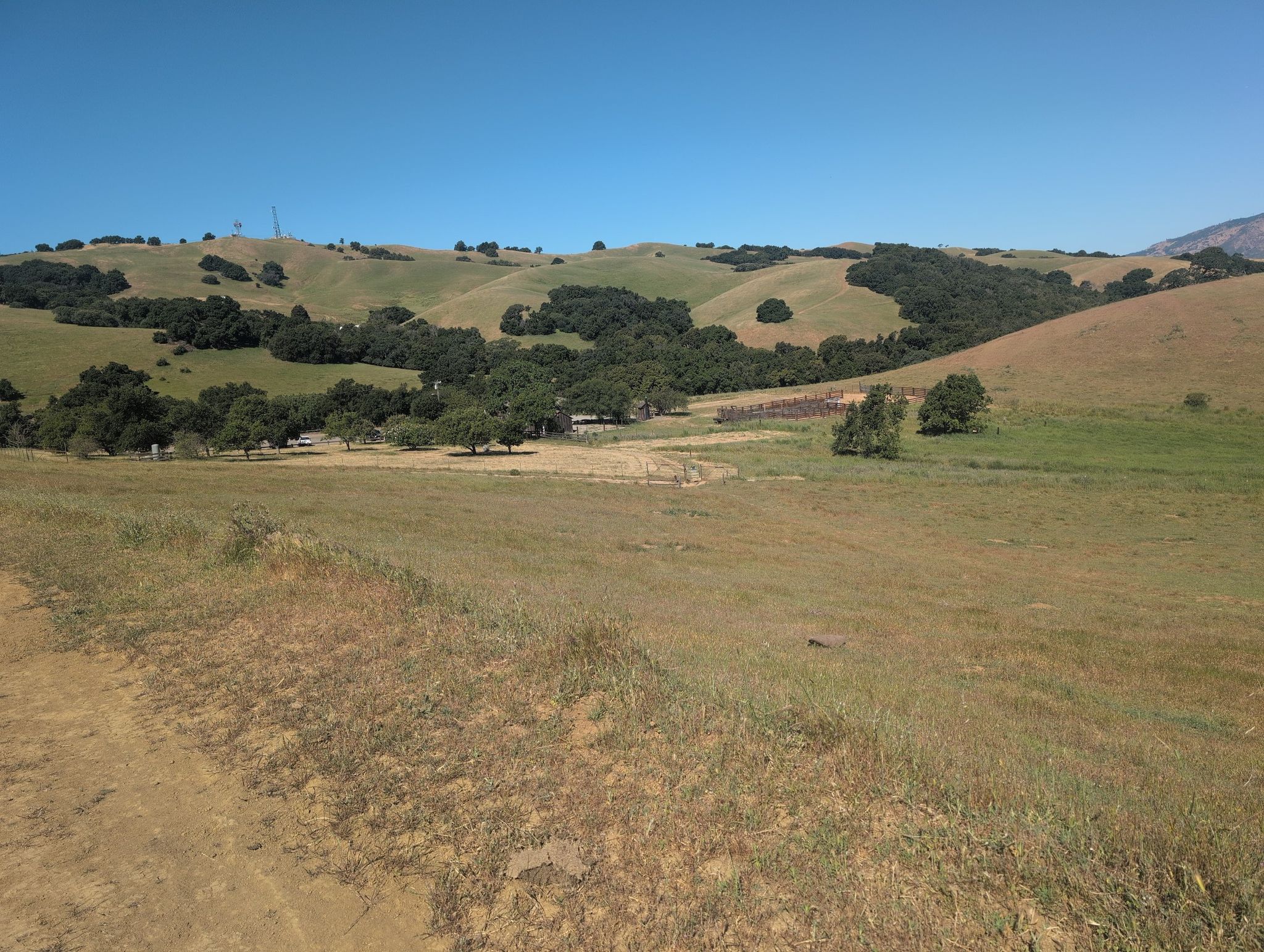 Rolling hills with dry grass and scattered trees under a clear blue sky. - Bob Walker Ridge and Volvon Trail Loop