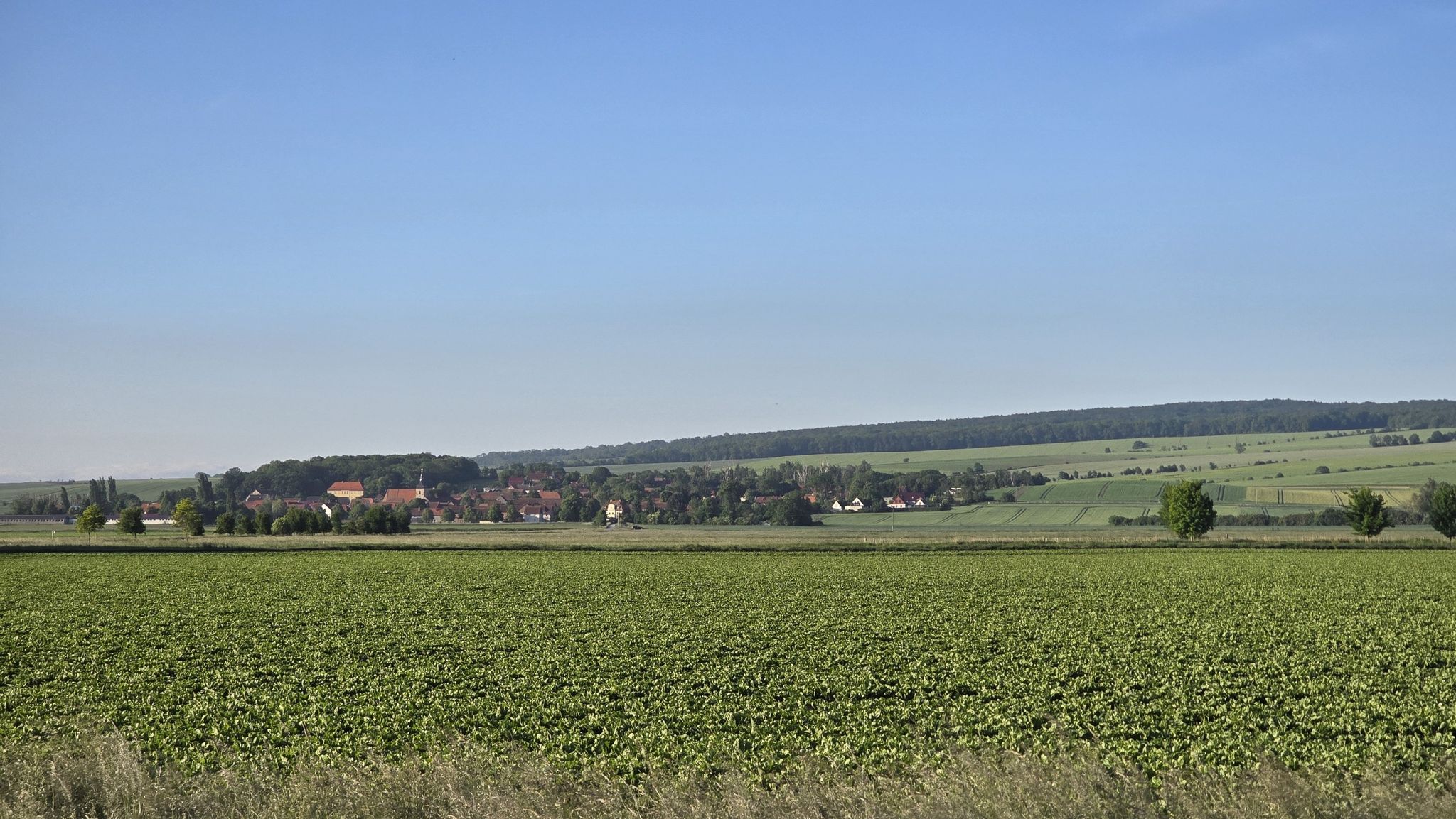 Veltheim am Fallstein. Landesgrenze erreicht 😅