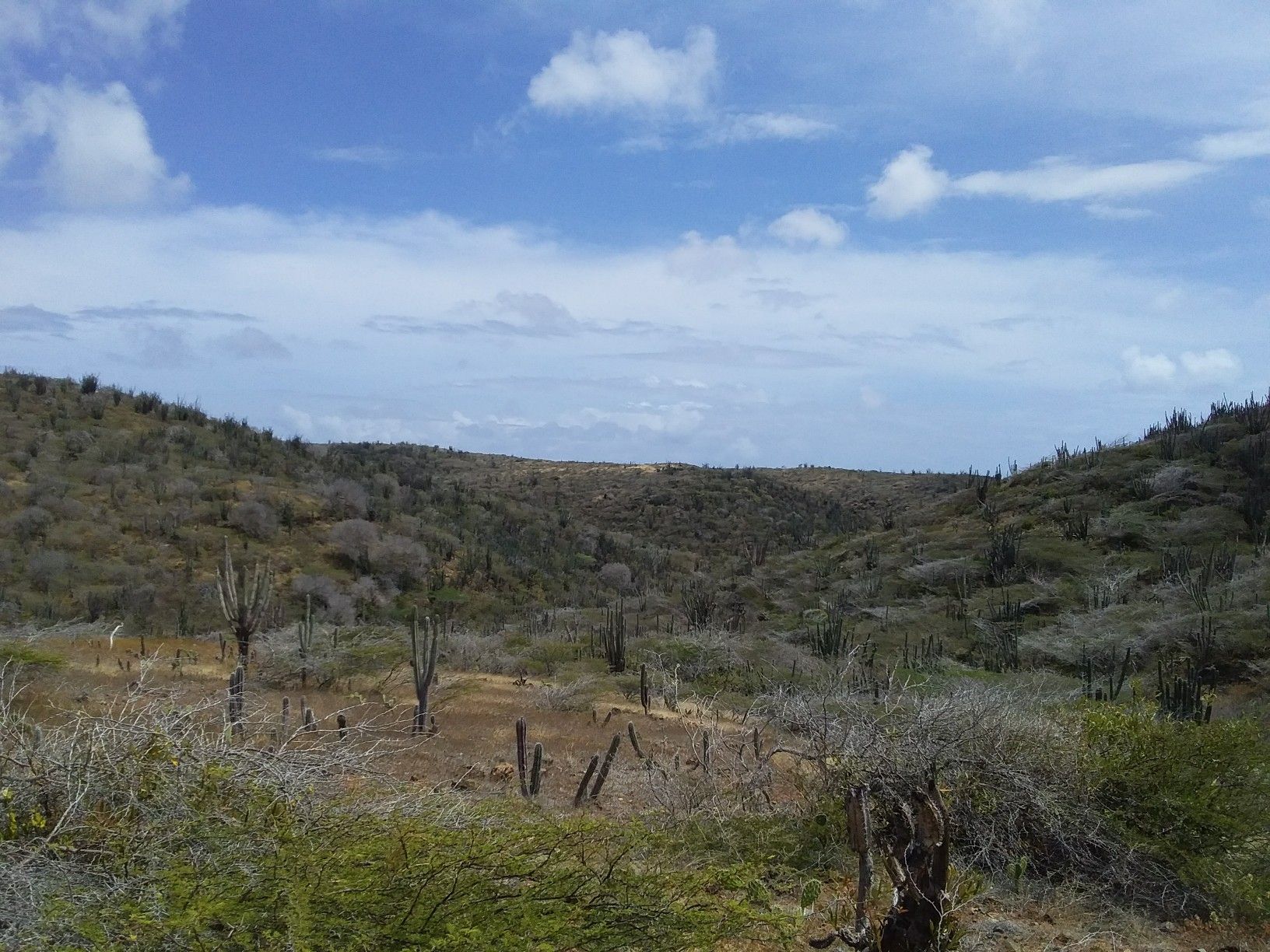 Parke Arikok Hills