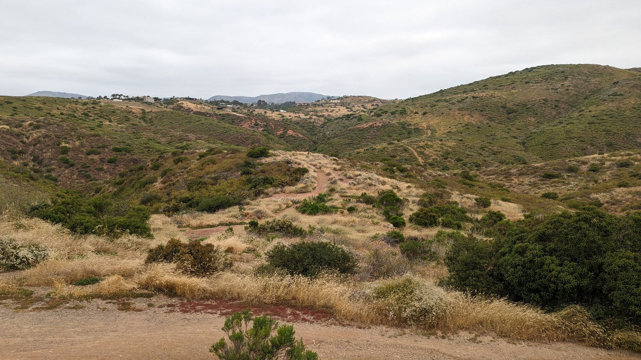 Overcast view of rolling hills with dry and green vegetation, winding paths. - Gravel loop from Intuit Inc.
