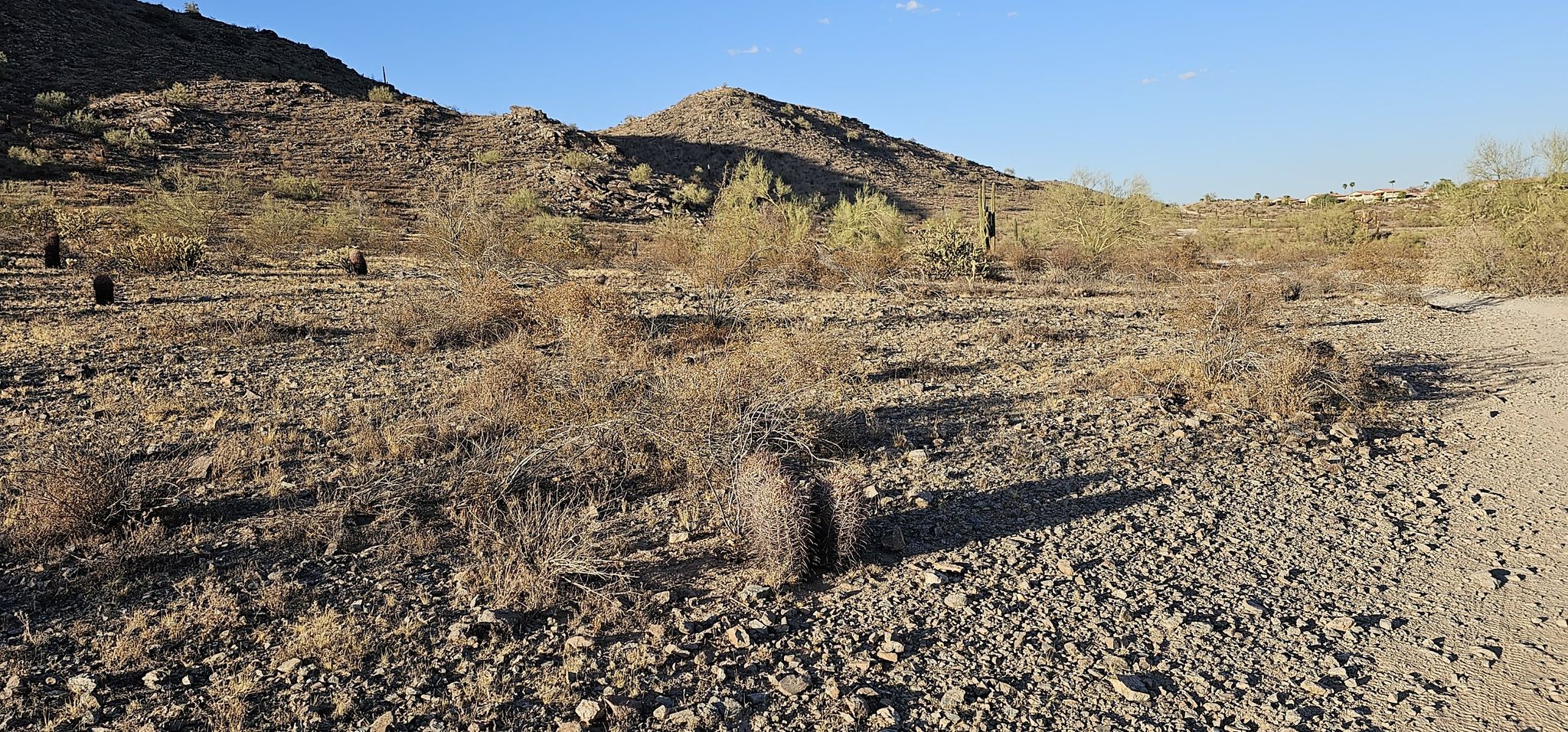 Rocky desert floor with sparse dry brush and distant mountains. - Desert Classic Trail