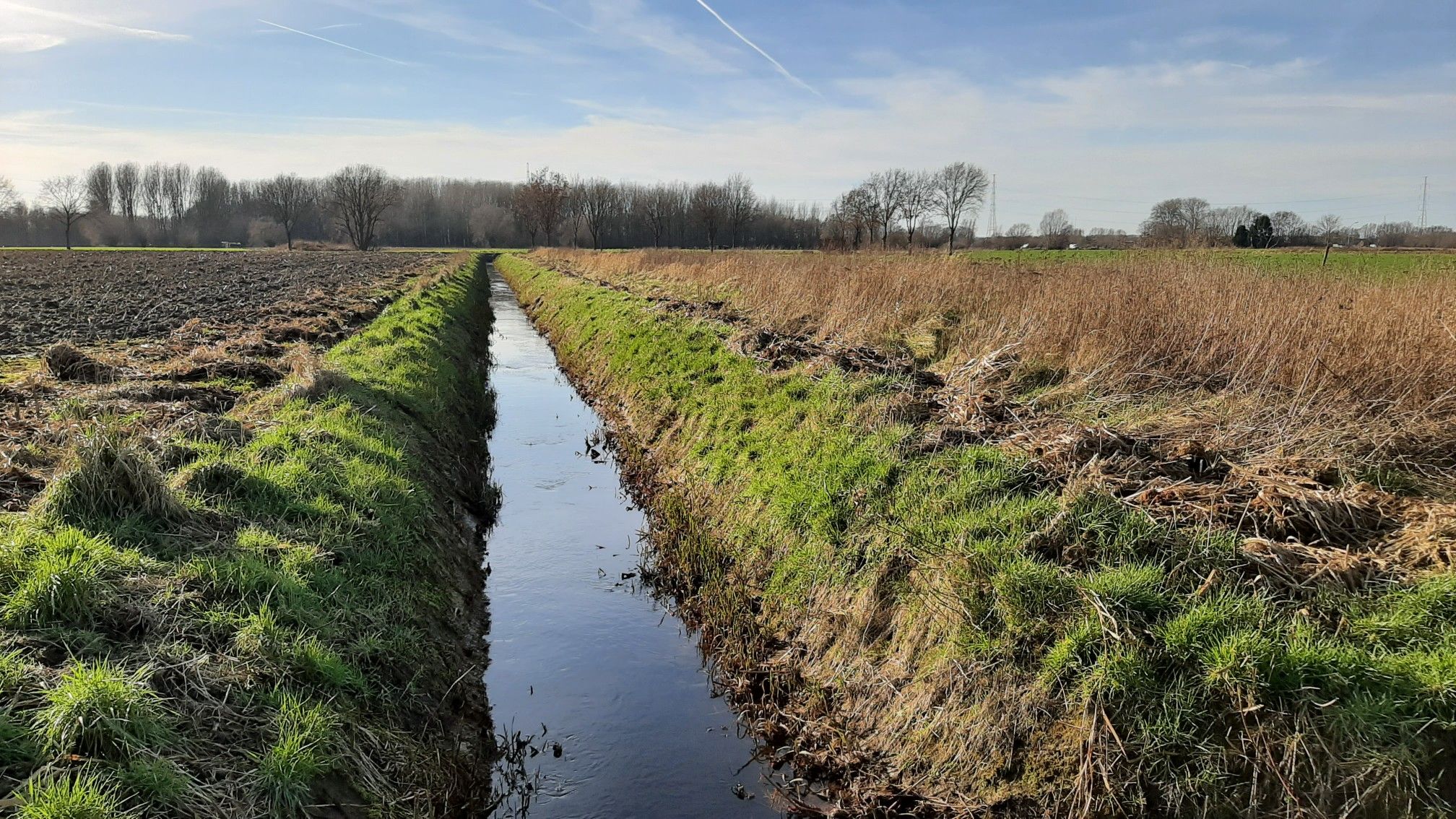 Afwateringsgrachten